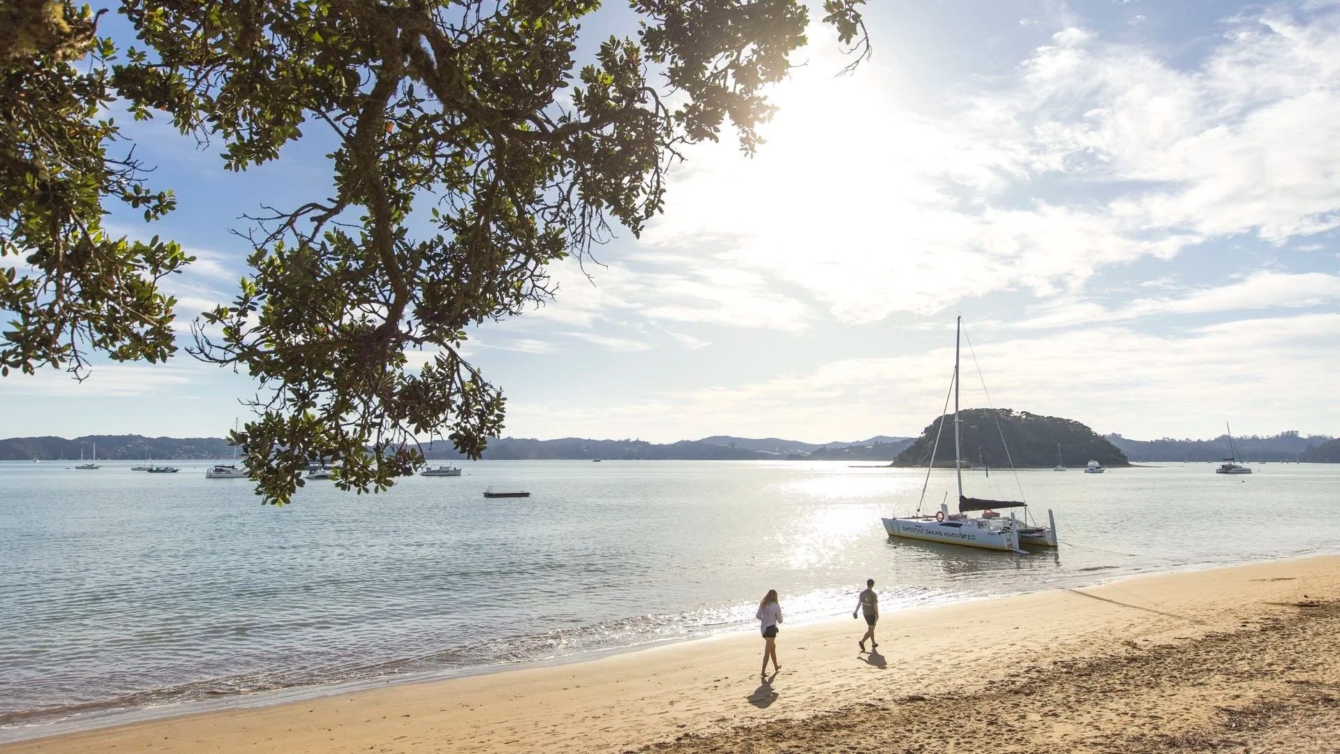 Bay of islands Tours from Auckland
