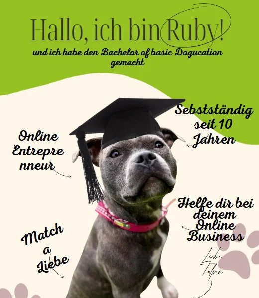 Bachelor of Basic Dogucation