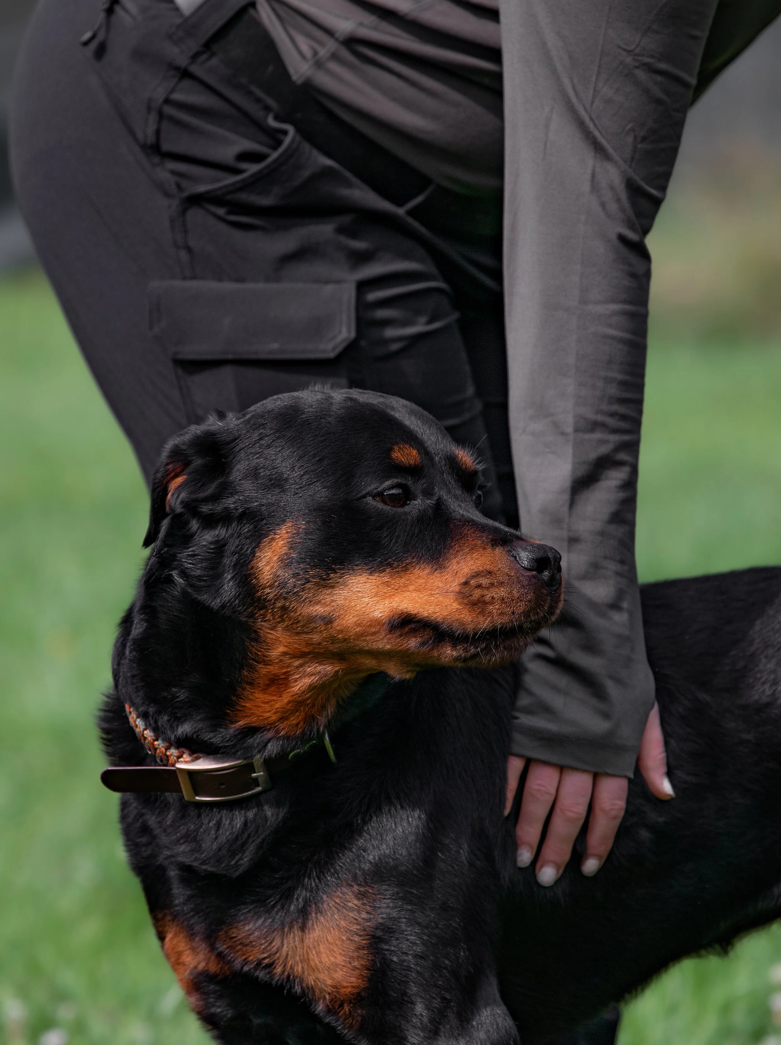 Hundehalter Akademie