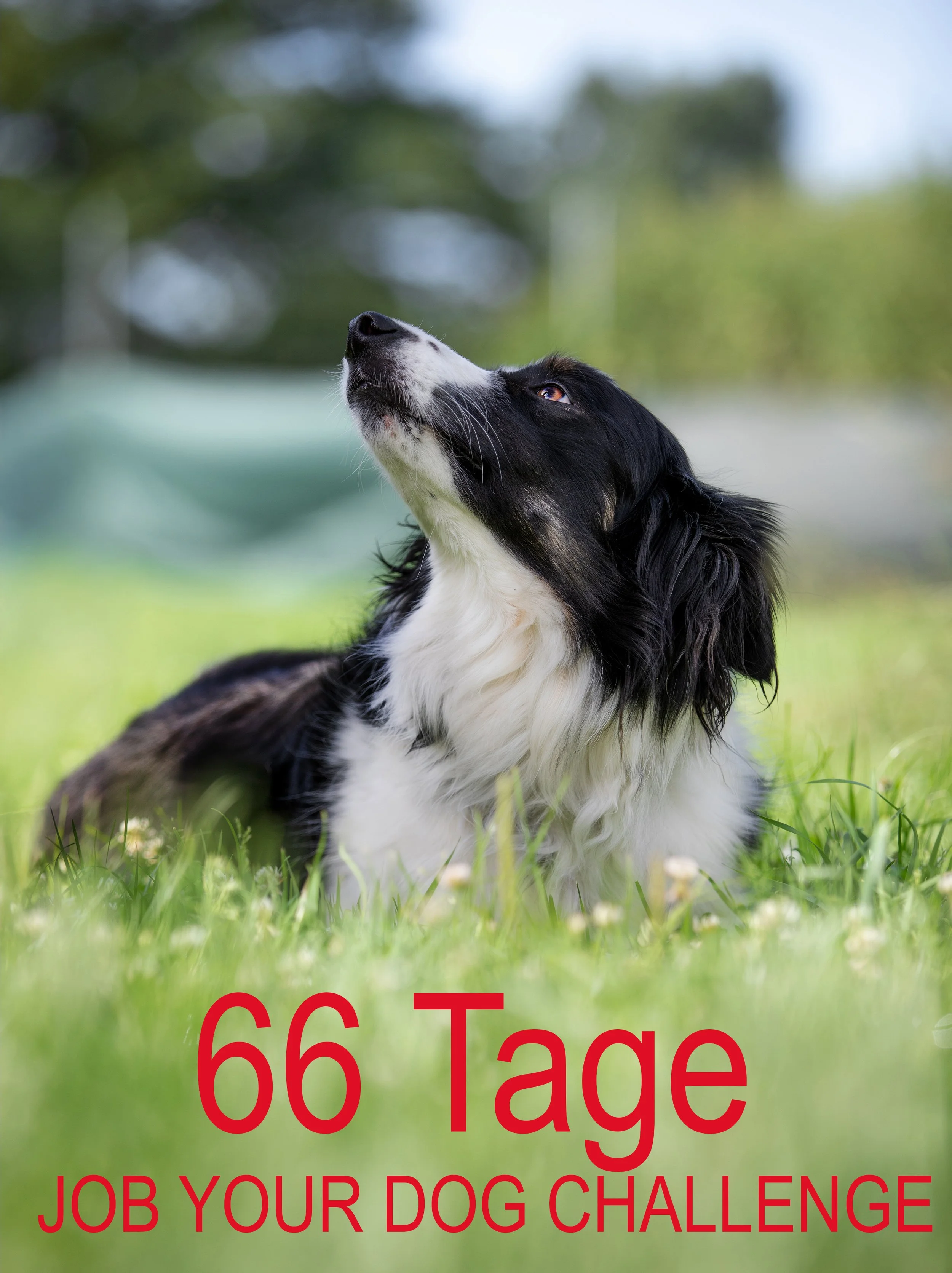 6M7A3165-Bearbeitet Kopie 2.jpg