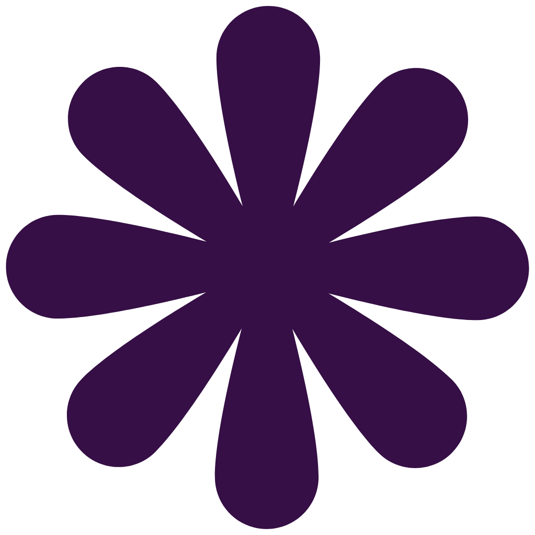 A dark purple flower with multiple rounded petals on a black background.