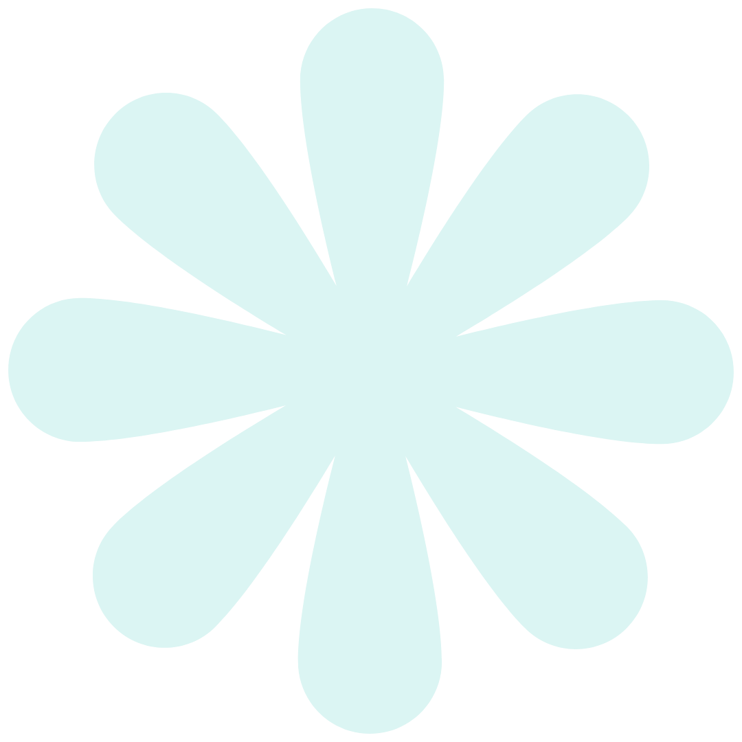 Light blue flower with eleven petals on a black background.