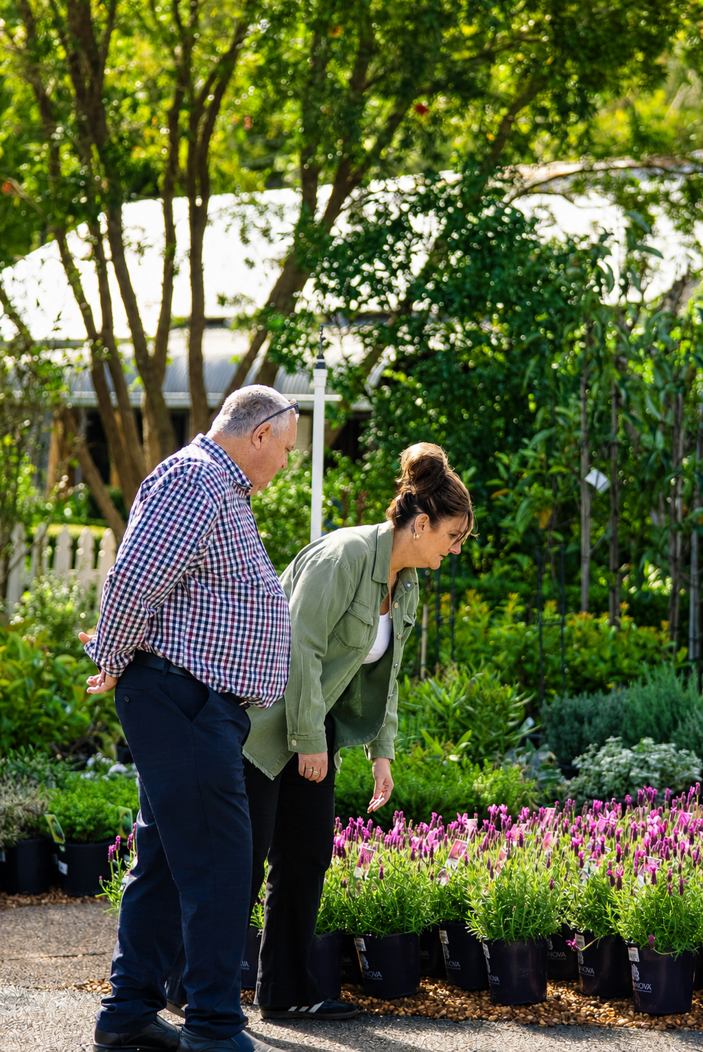 Two people closely inspecting pink flowering plants in a garden center, surrounded by lush greenery and trees.