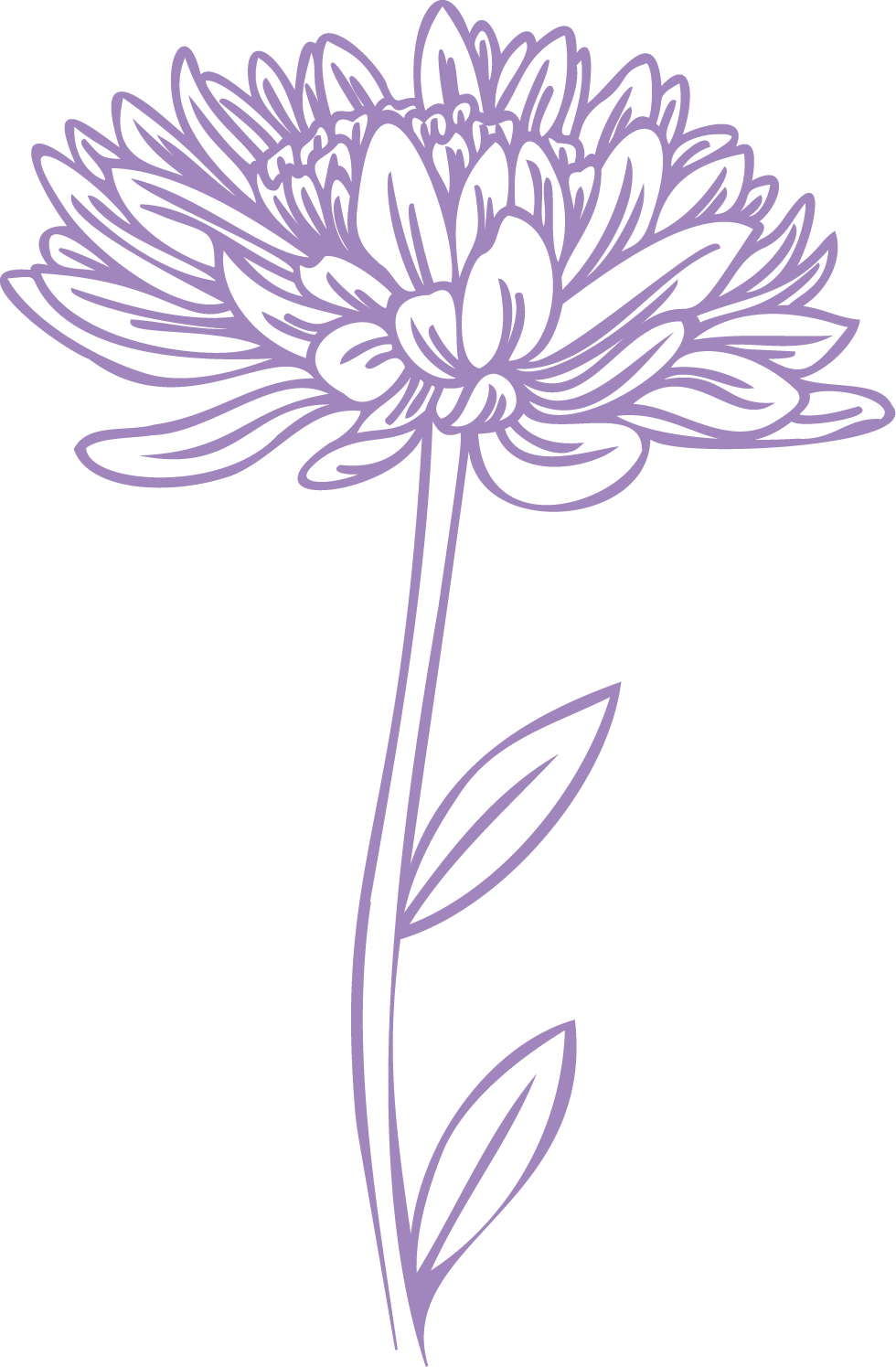 A stylized outline of a flower with a long stem, leaves, and detailed petals, rendered in purple lines on a black background.