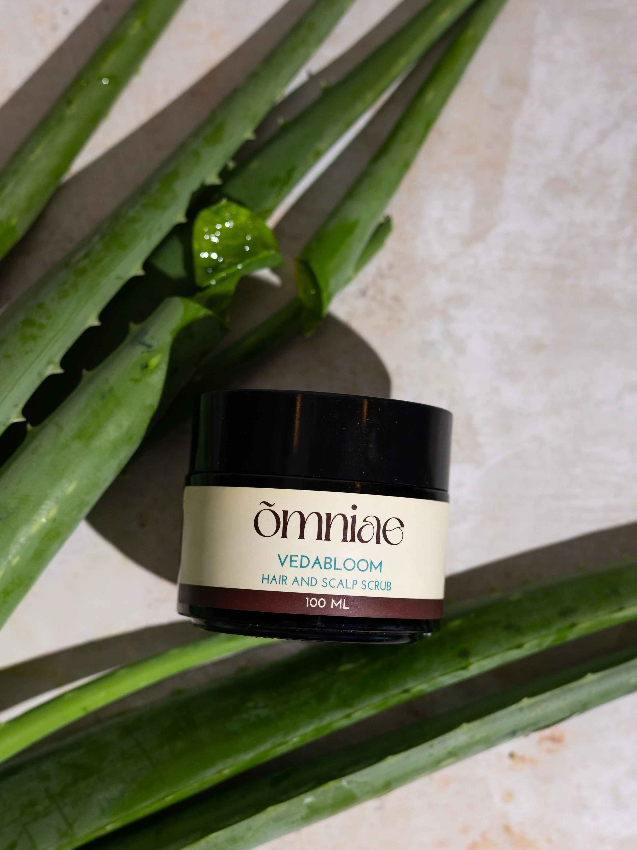 A black jar of Omniac Vedabloom Hair and Scalp Scrub placed on a green aloe vera leaf, which is on a light-colored surface.
