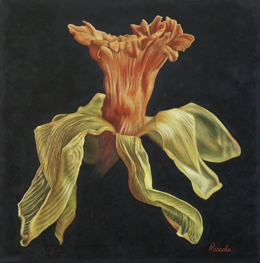 A realistic painting of a wilting yellow daffodil flower with orange petals at the center against a black background.