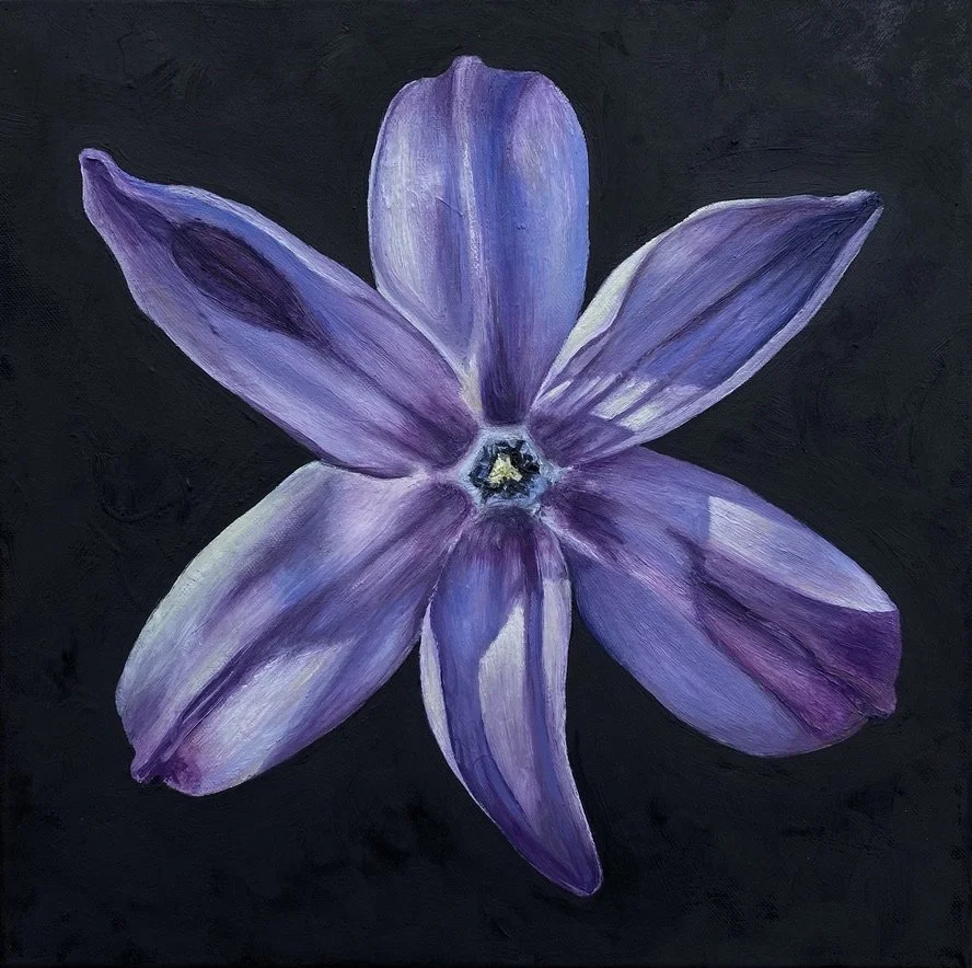 A painting of a purple hyacinth flower with six petals on a black background.