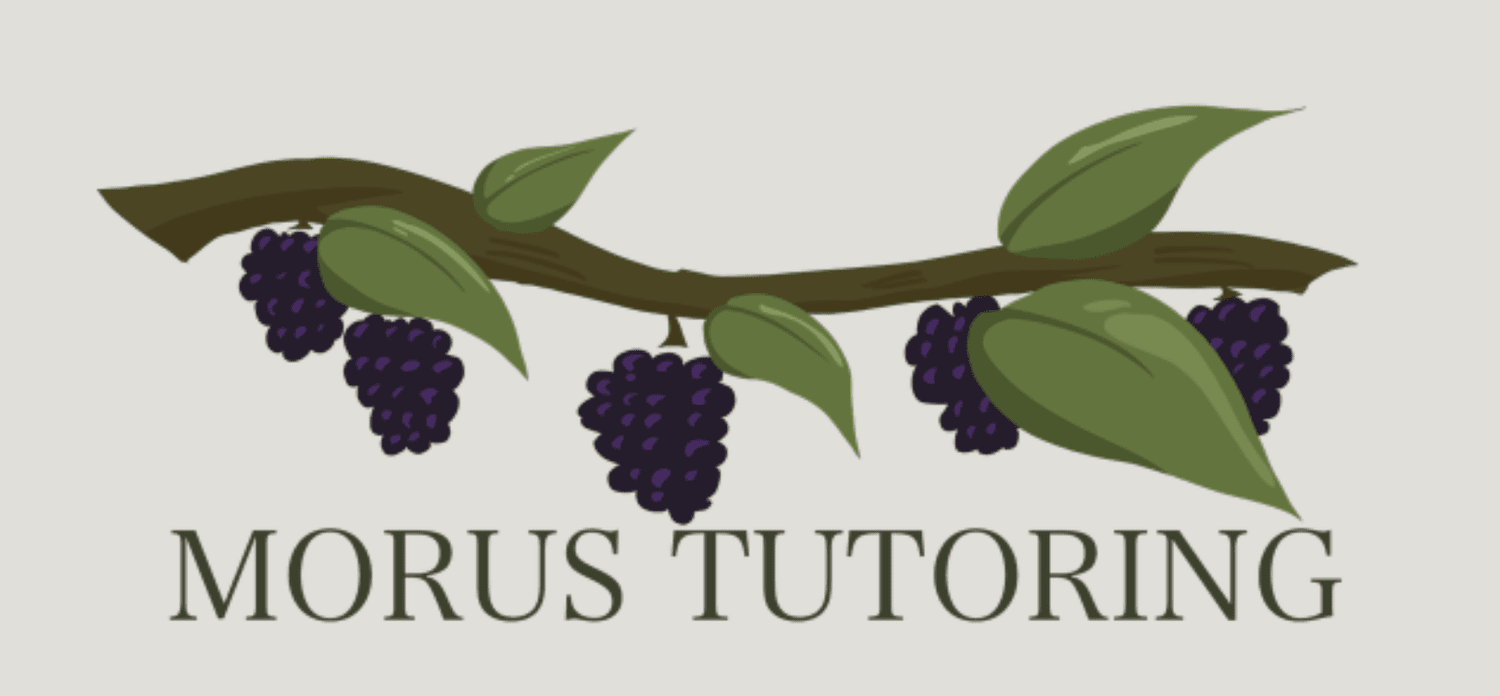 Morus Tutoring