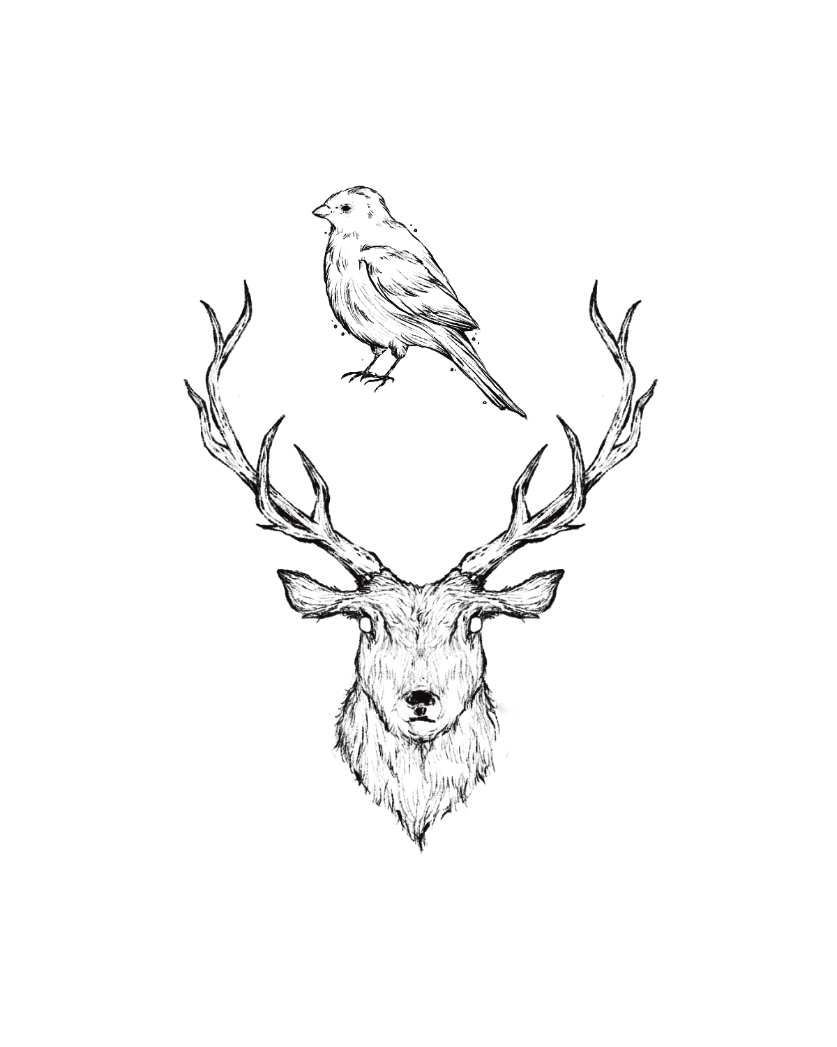 Bookish illustrations from May (1) copy 3.png