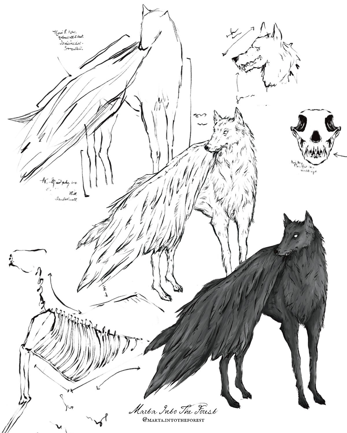 amaris concept art