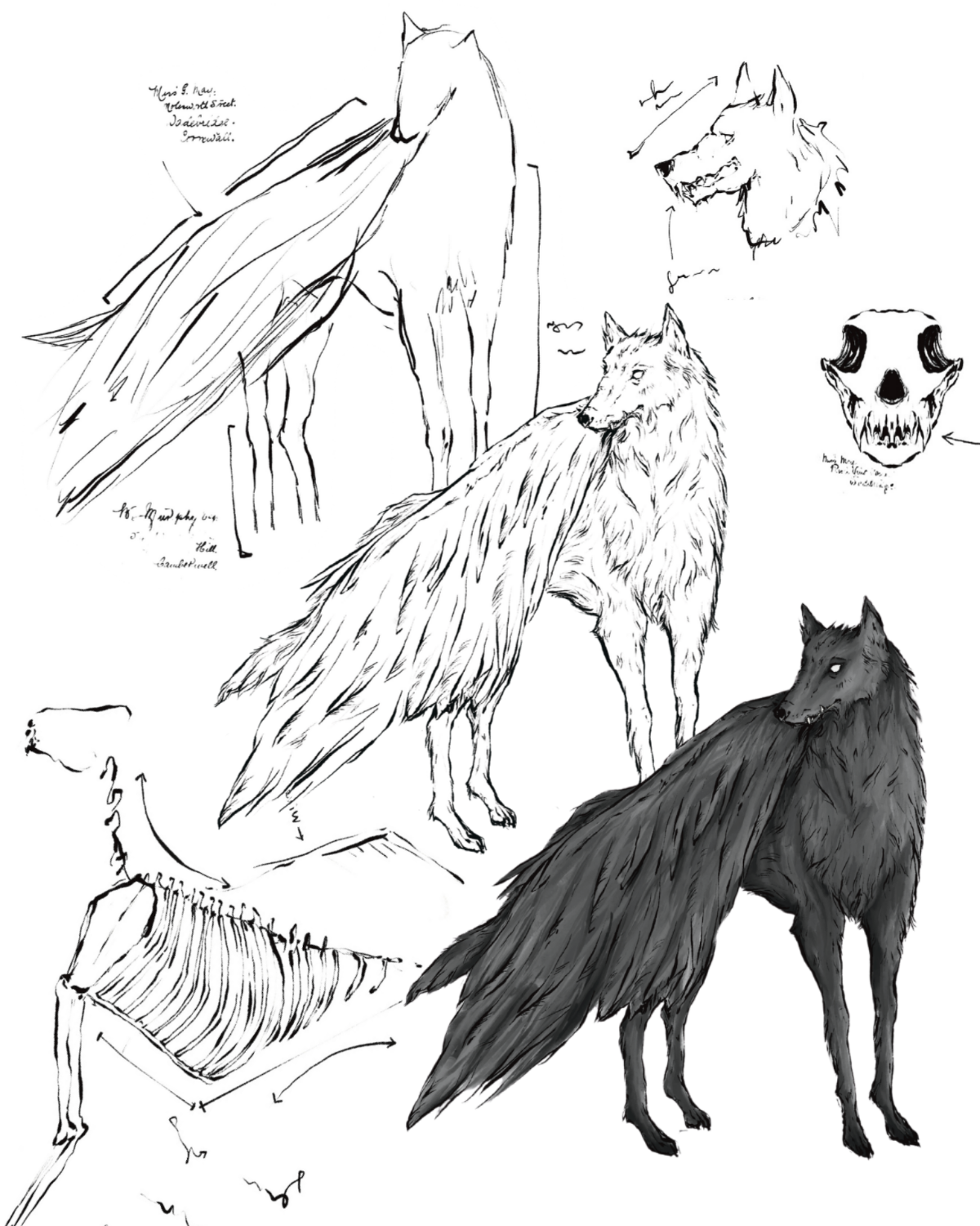 Bookish illustrations from May (1) copy 4.png