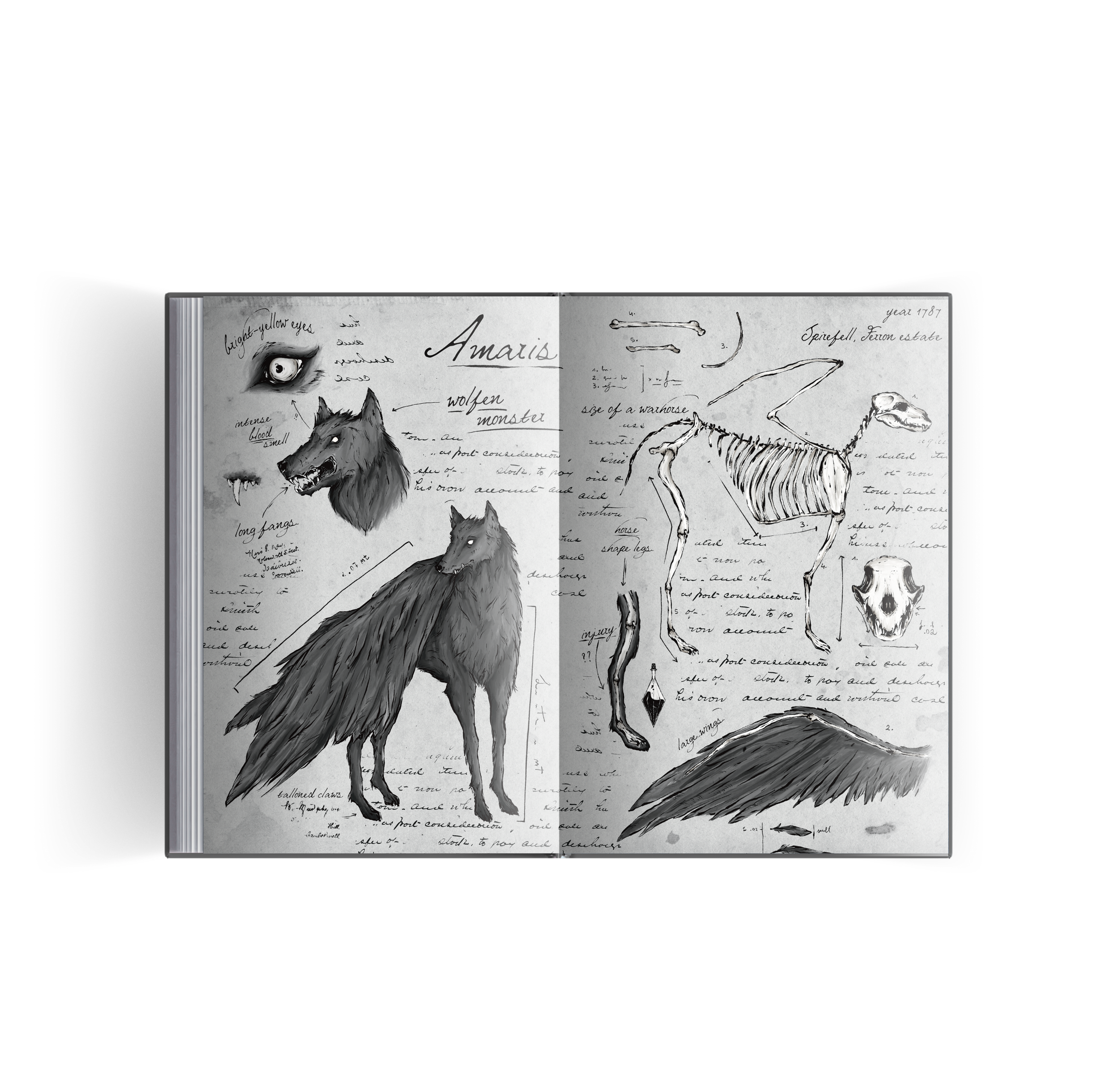 custom illustration endpaper