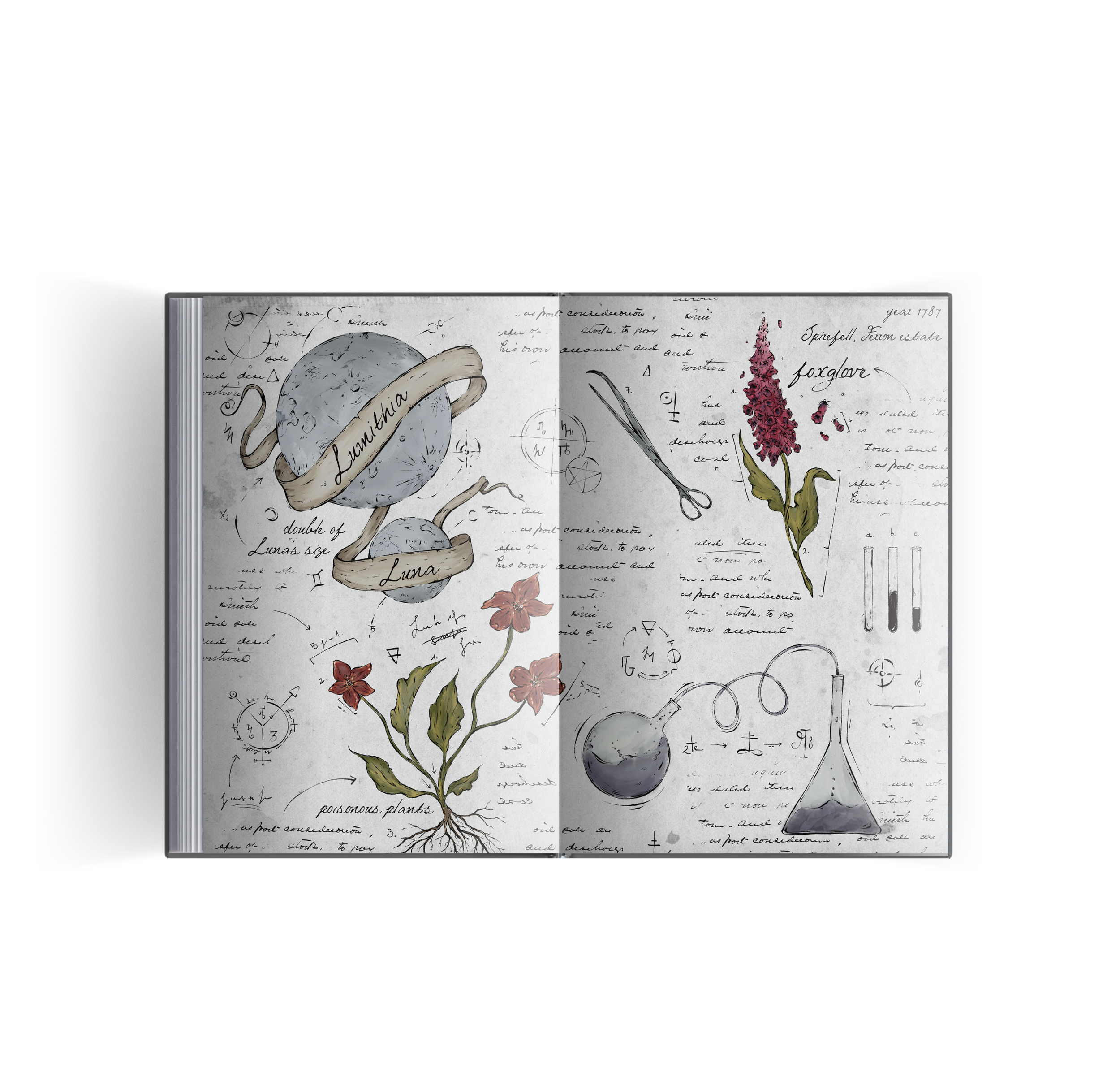 custom illustration endpaper