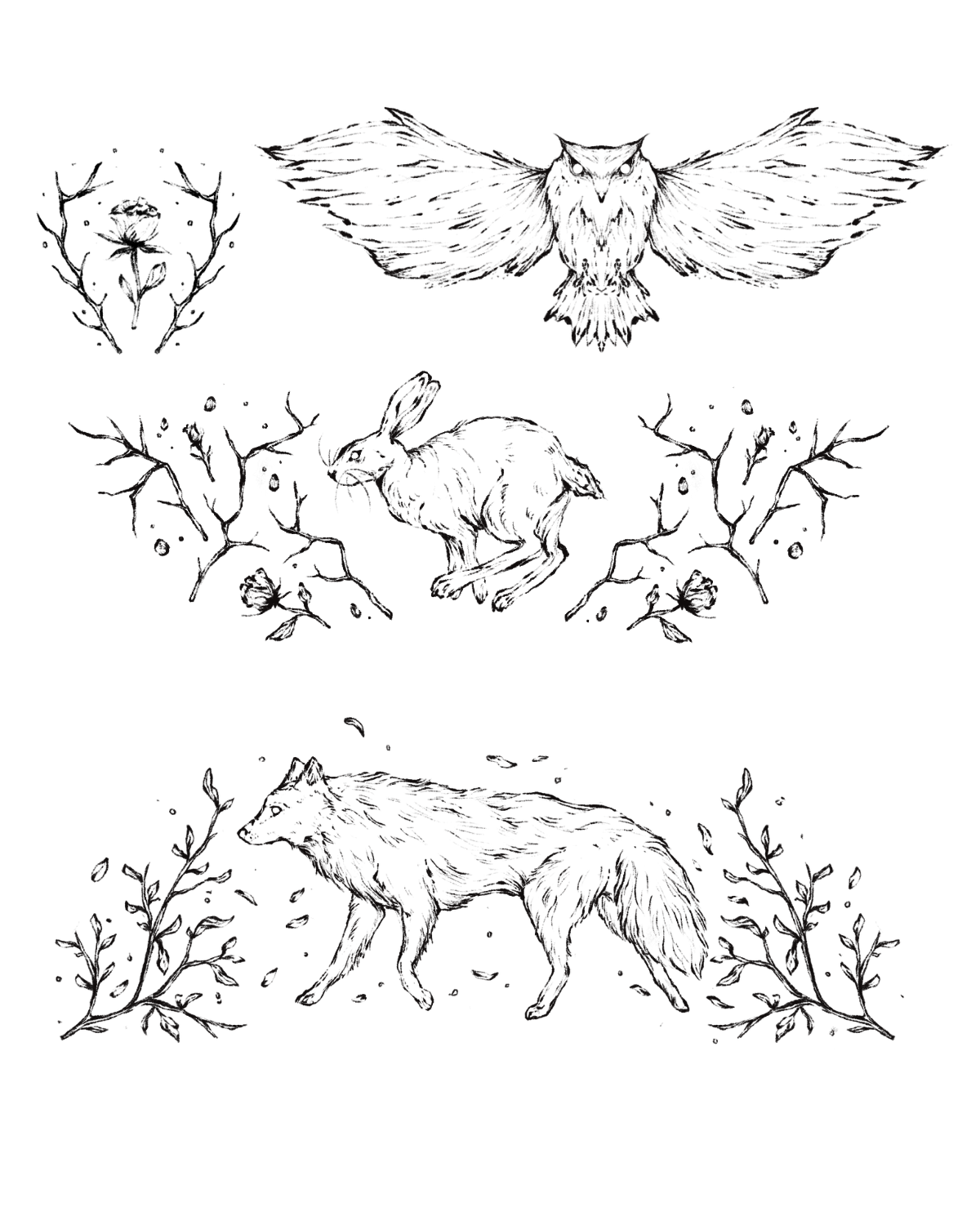 Animals & Creatures