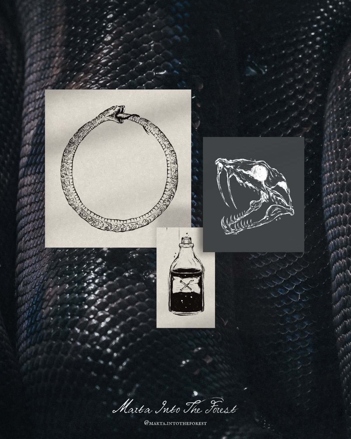 Venom