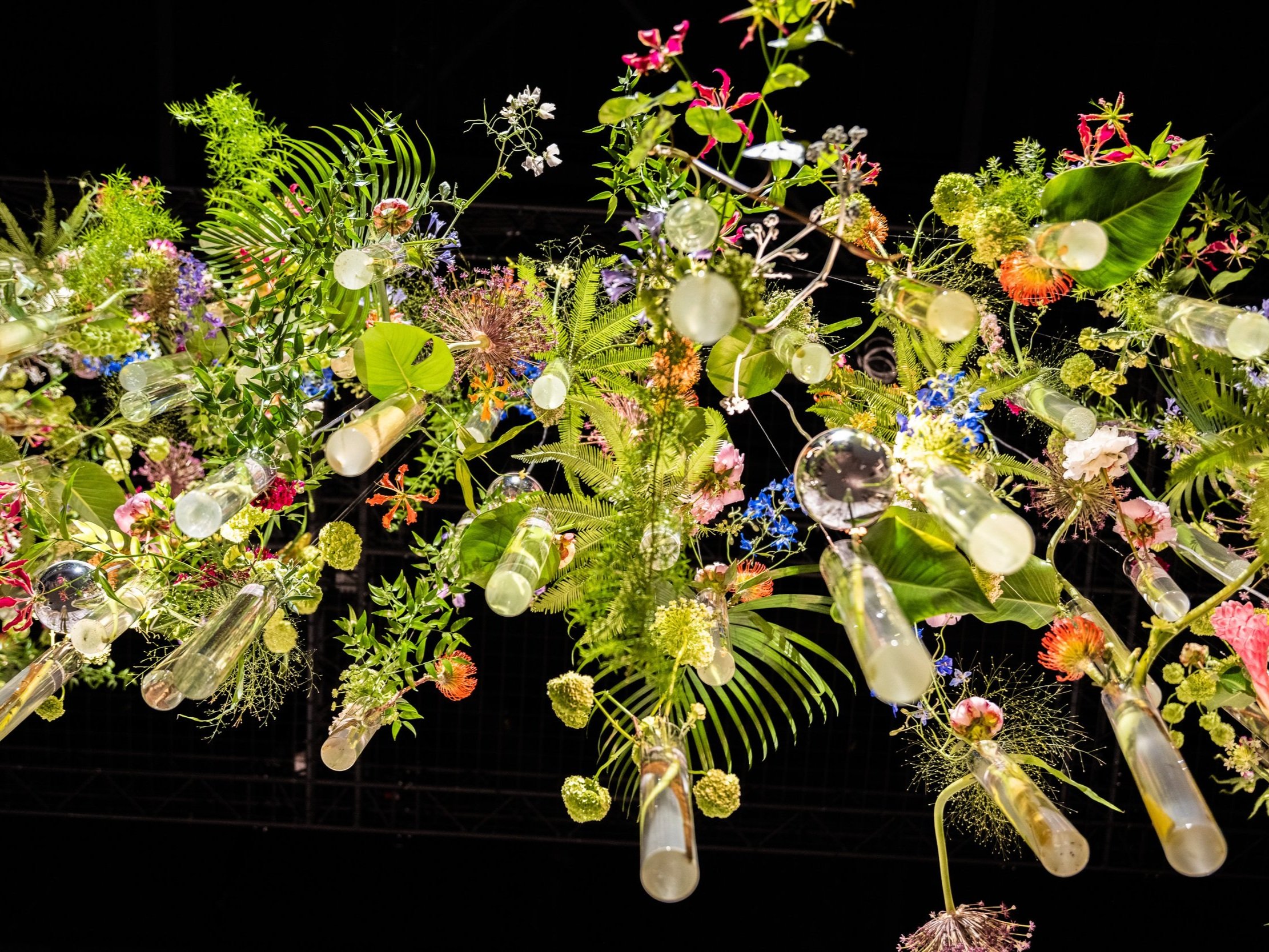 TM22_Flowers_JitskeNap_002.jpg
