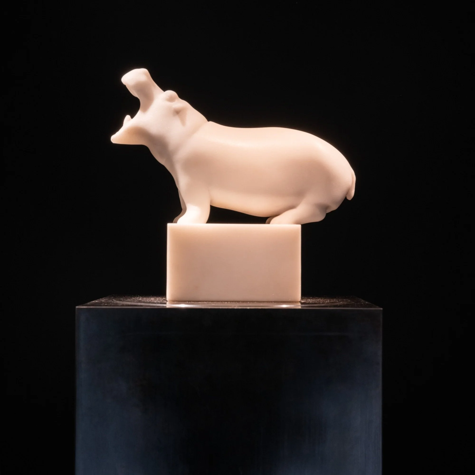 TM22_XavierEeckhoutParis_147_Hippo_JitskeNap_001-2.jpg