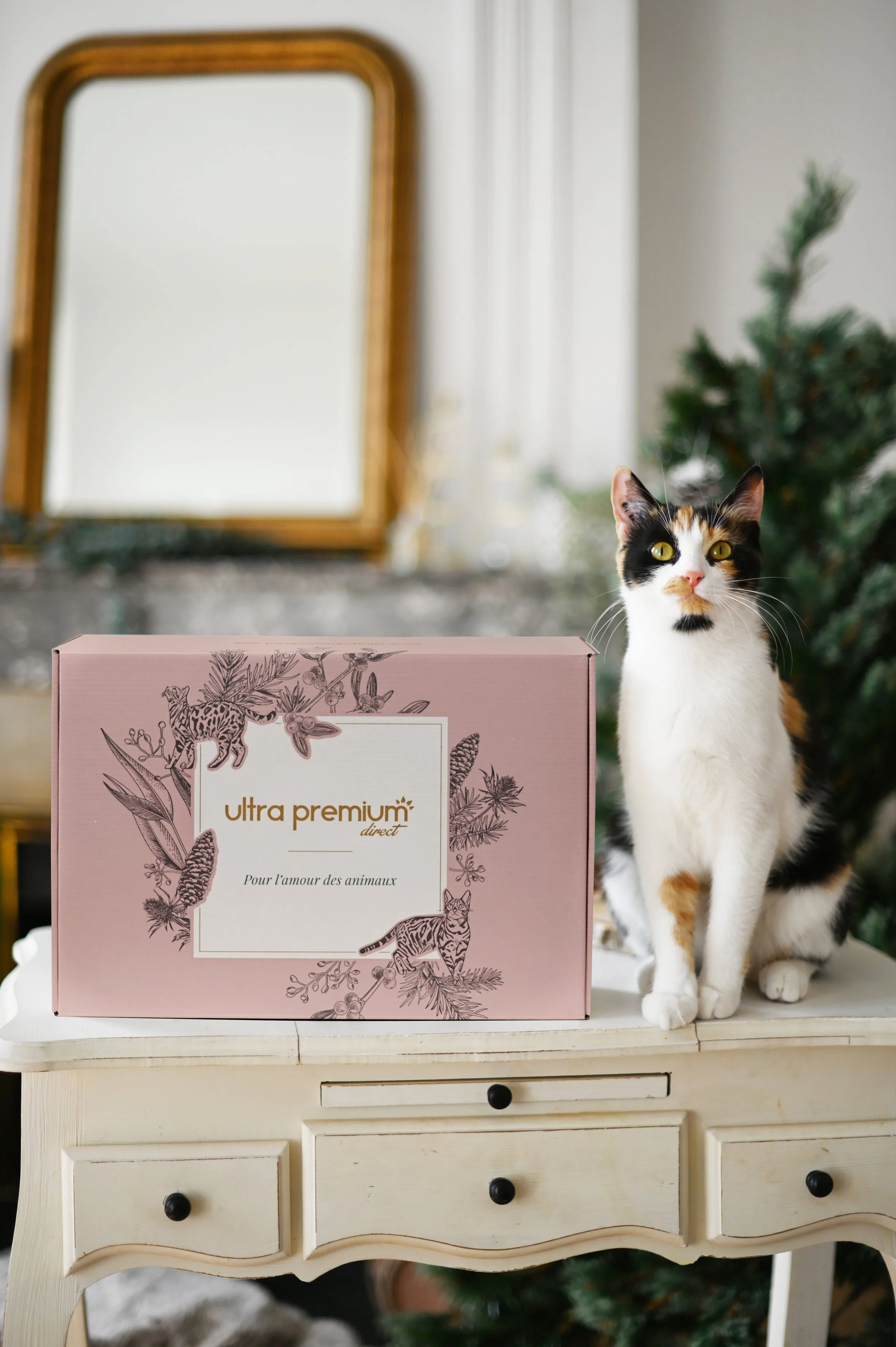 Direction artistique de la campagne de Noël Ultra Premium Direct dans un univers premium et chaleureux.