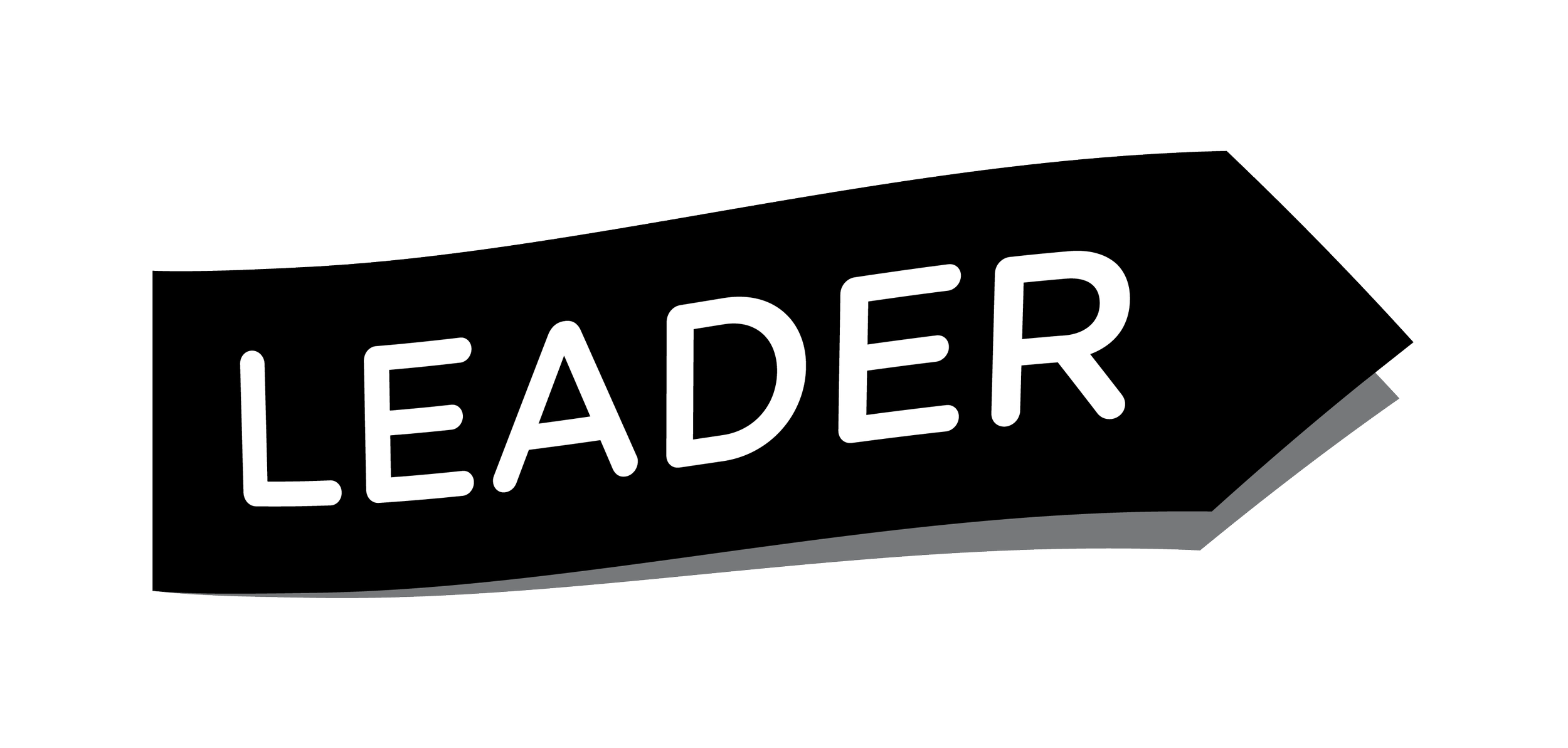 Leader_Logo_Tekstitön_RGB_Black.png