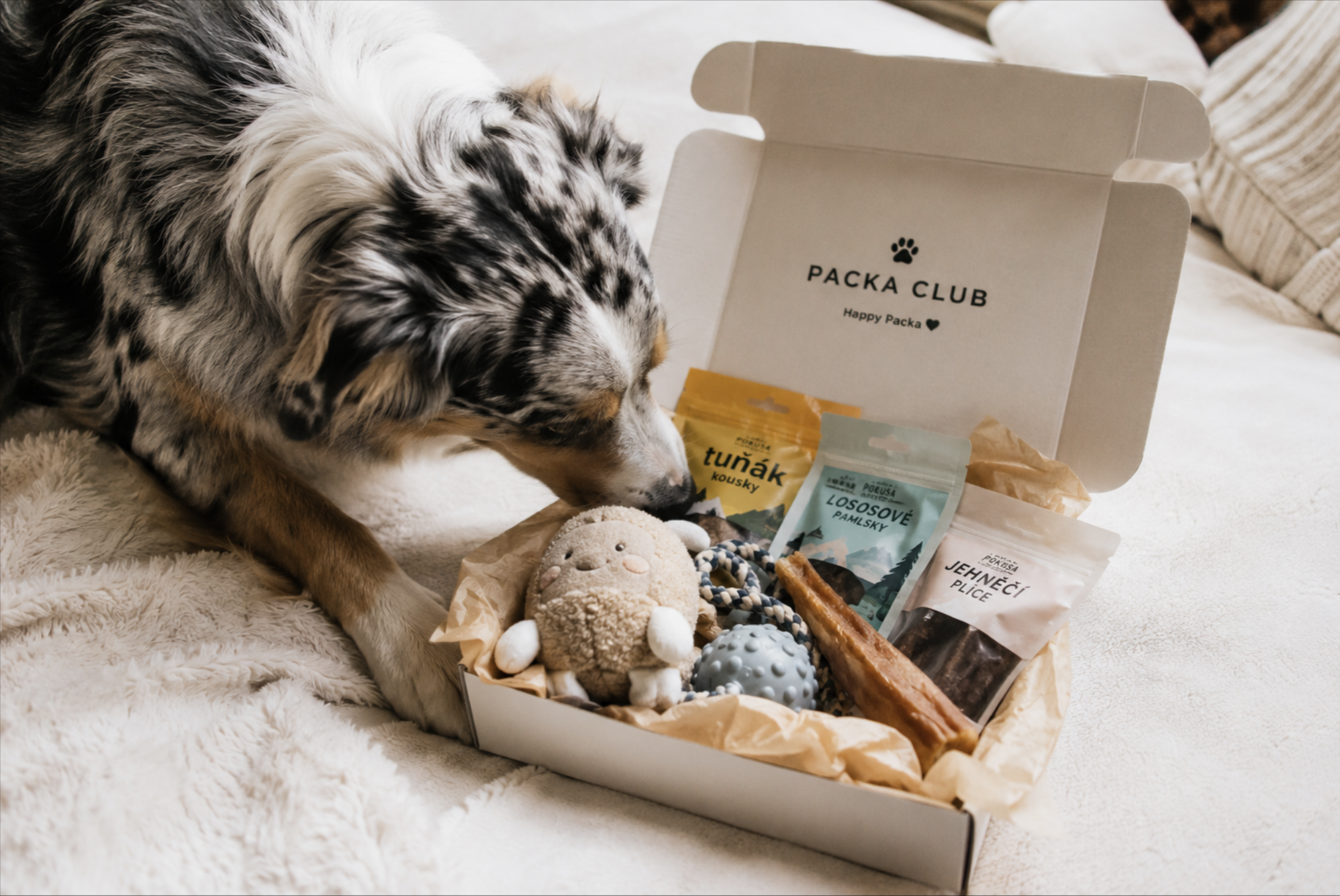 Happy Packa