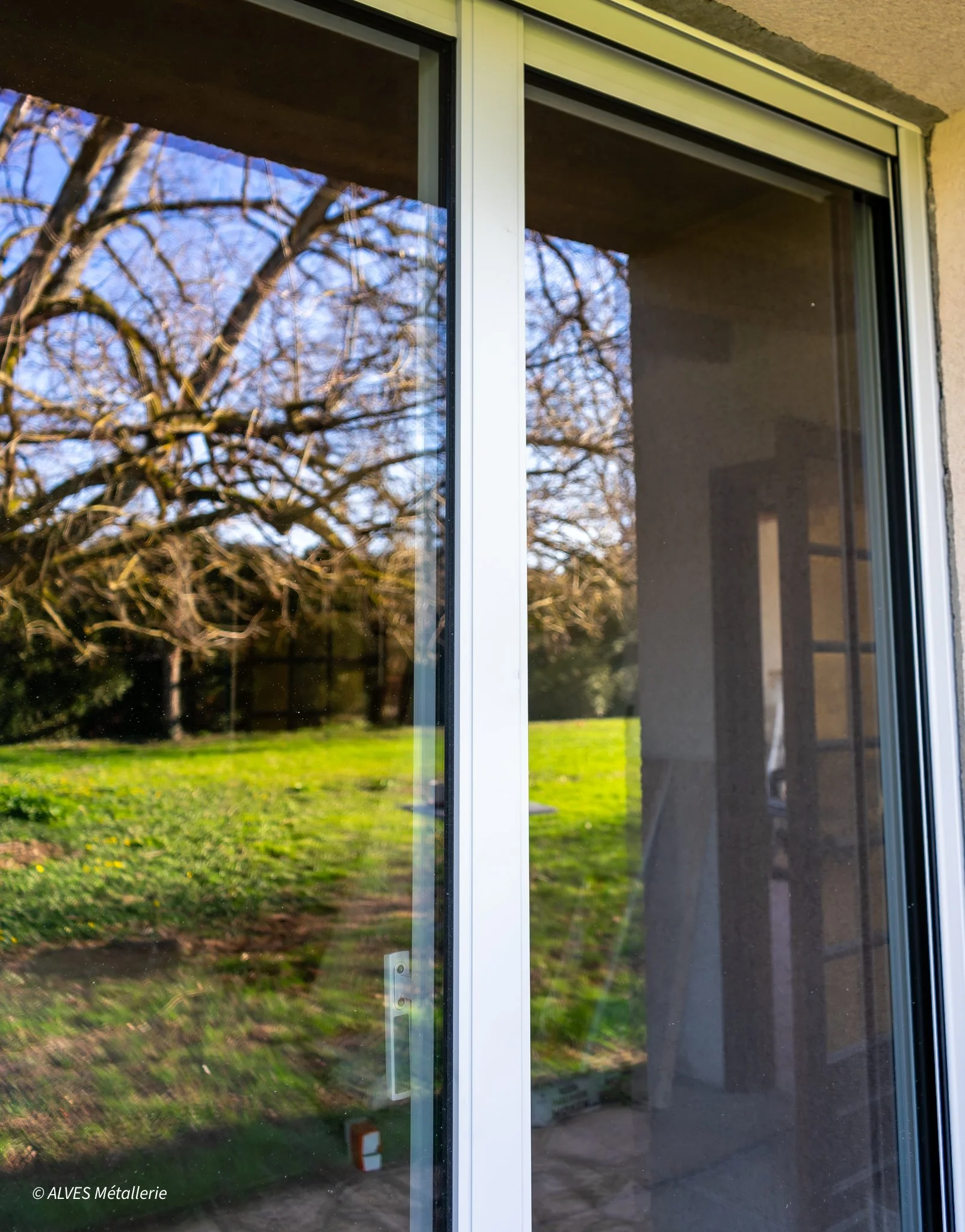Vue à travers une fenêtre en verre montrant un arbre sans feuillage, un espace vert avec de l'herbe et des buissons, et une partie de la maison en pierre en arrière-plan.