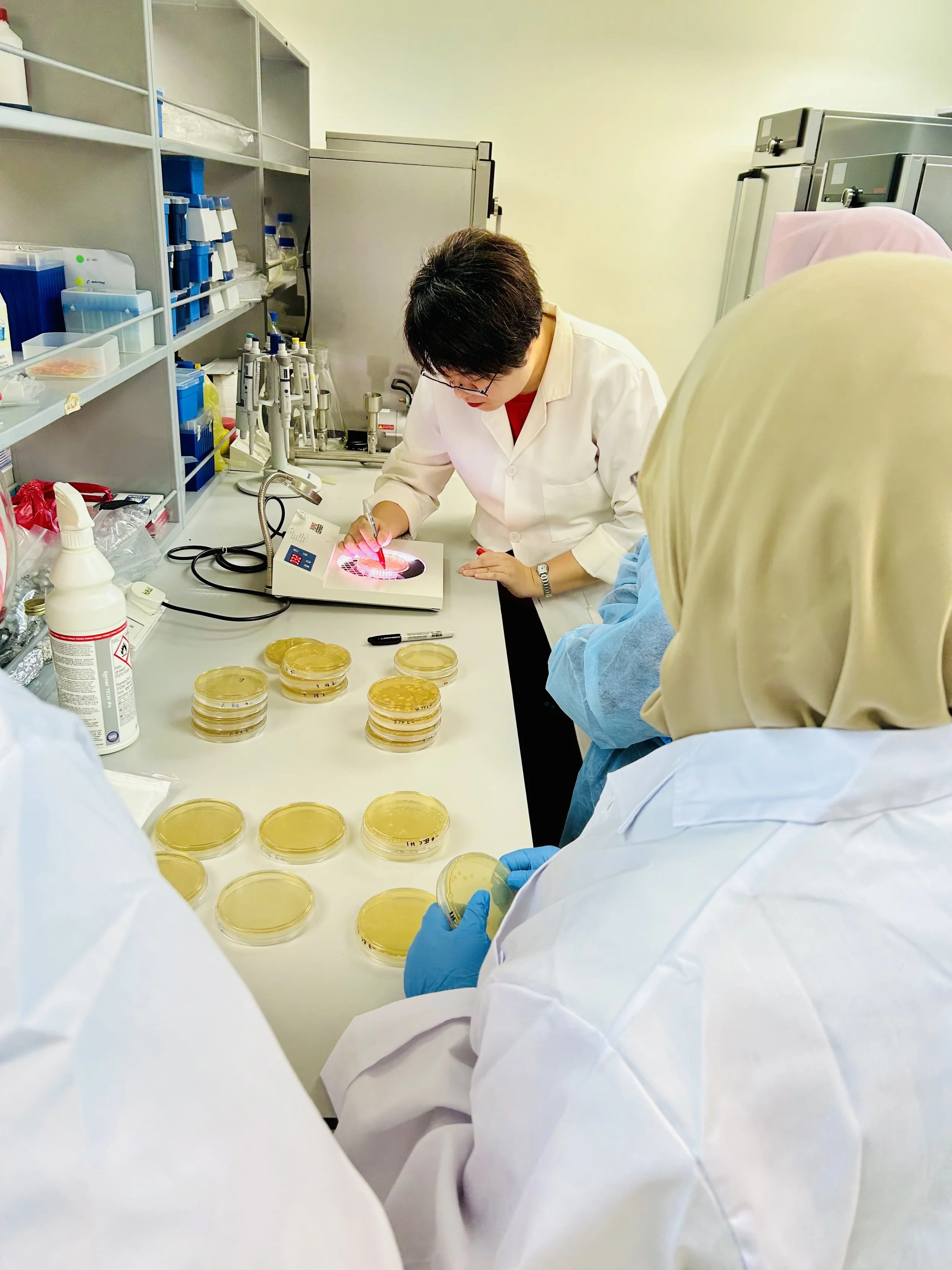Basic Microbiology training by Go Plus Services