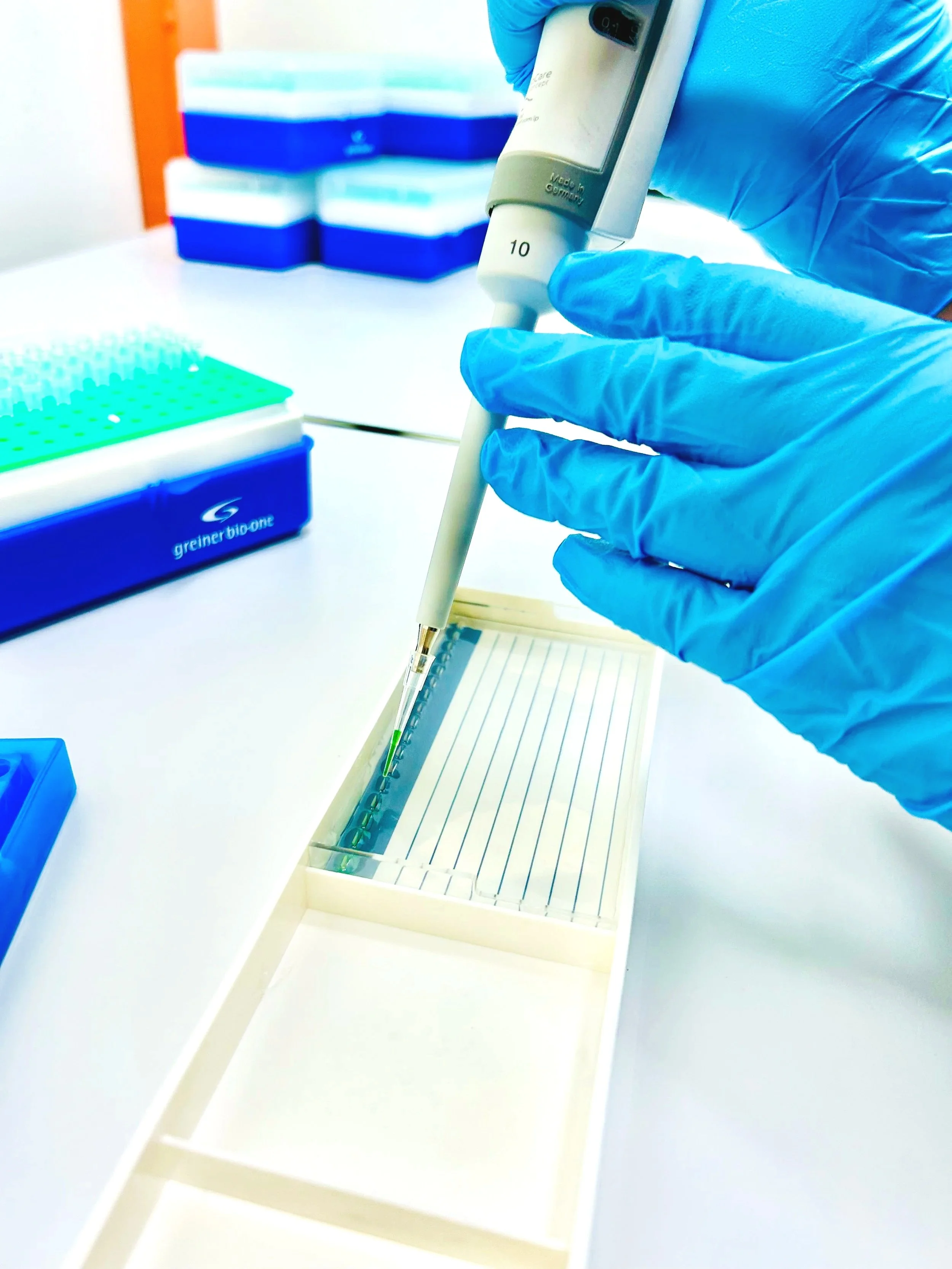 Microbiology Testing and training on PCR