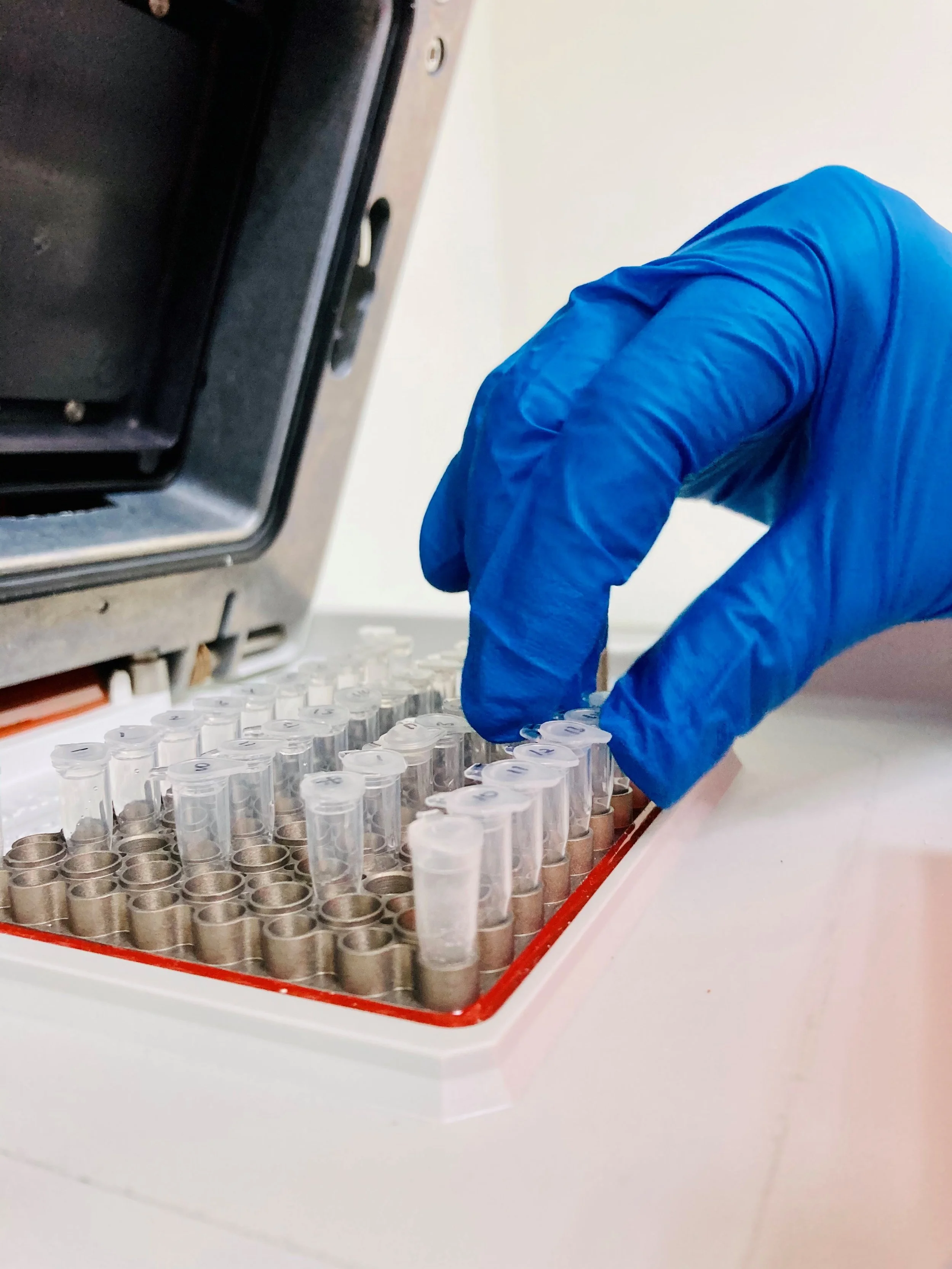 Bacterial ID and Fungal ID by Go Plus Services