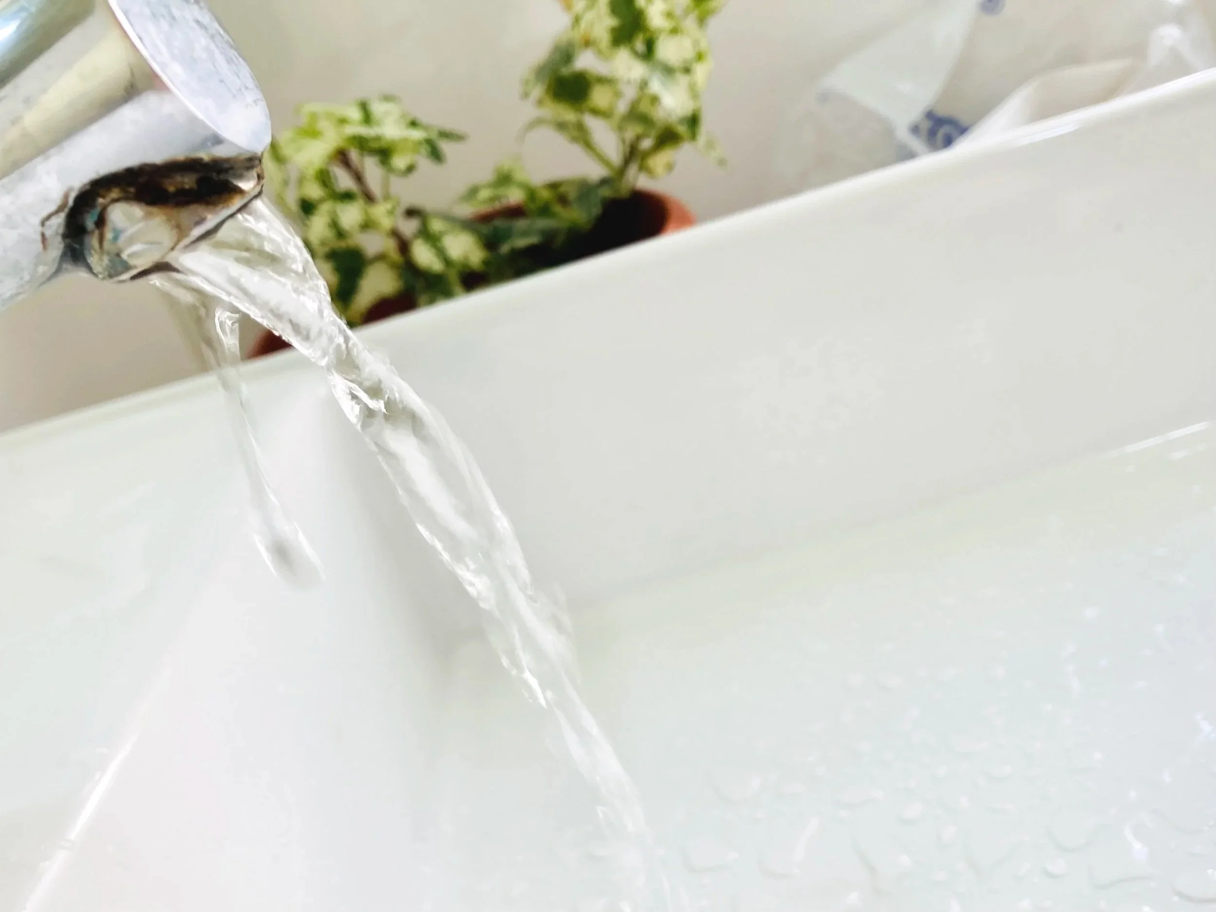 Water microbiology proficiency testing programme by Go Plus Services