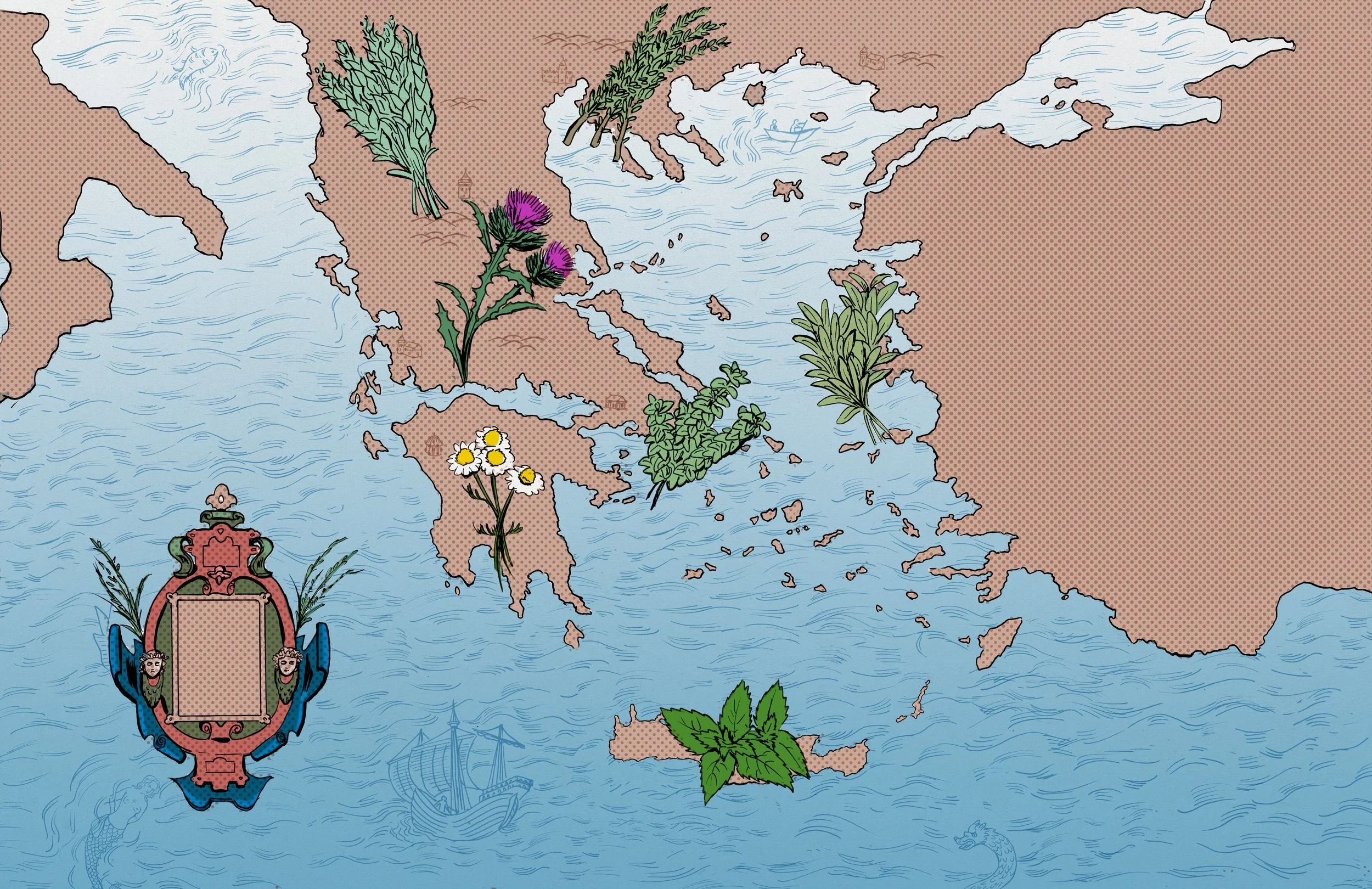 Herbs and superfoods of the Greek flora