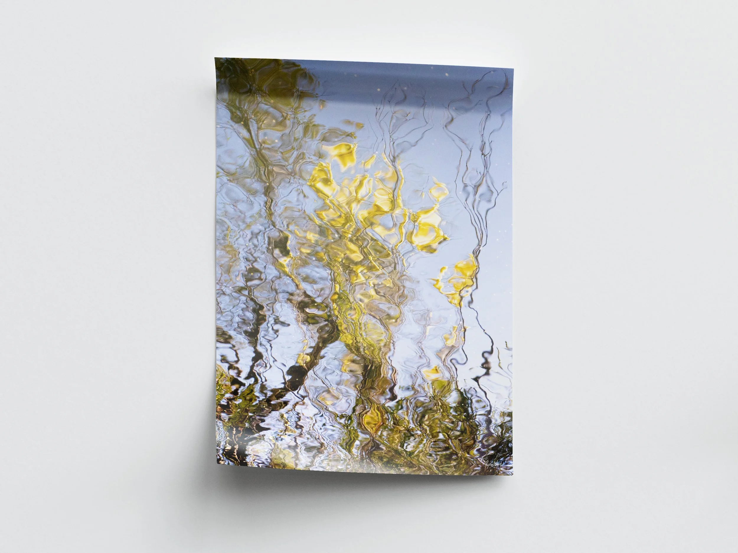 AN ODE TO WATTLE - PRINT ONLY