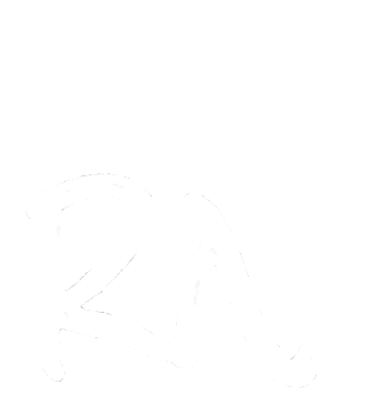RYAN NORTH
