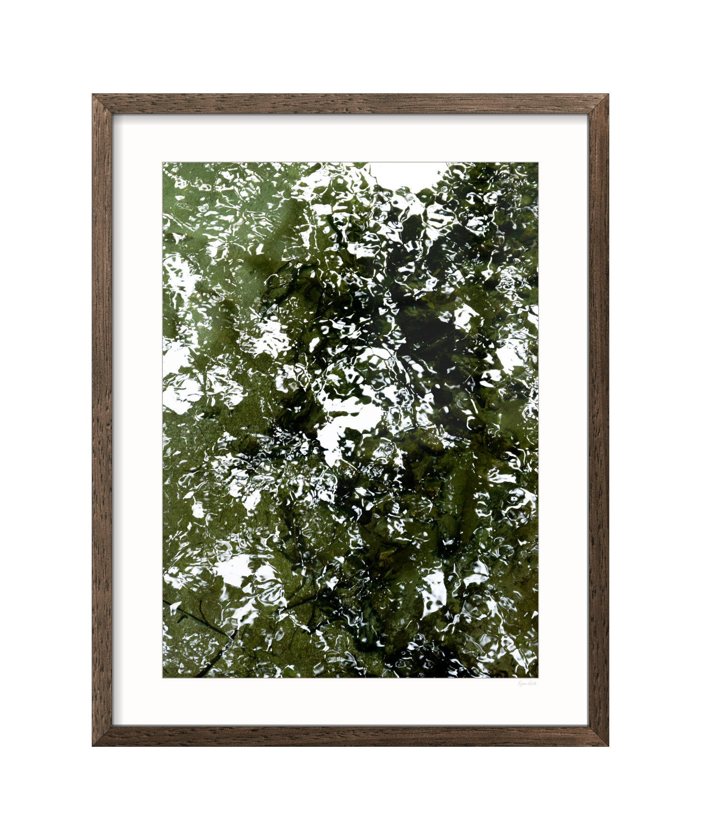 CANOPY - CLASSIC FRAME