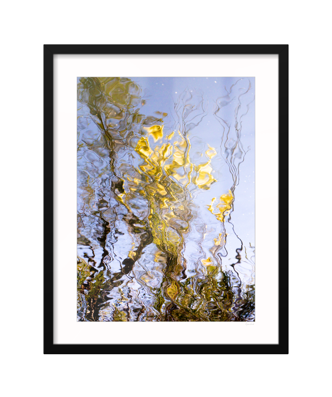AN ODE TO WATTLE - CLASSIC FRAME