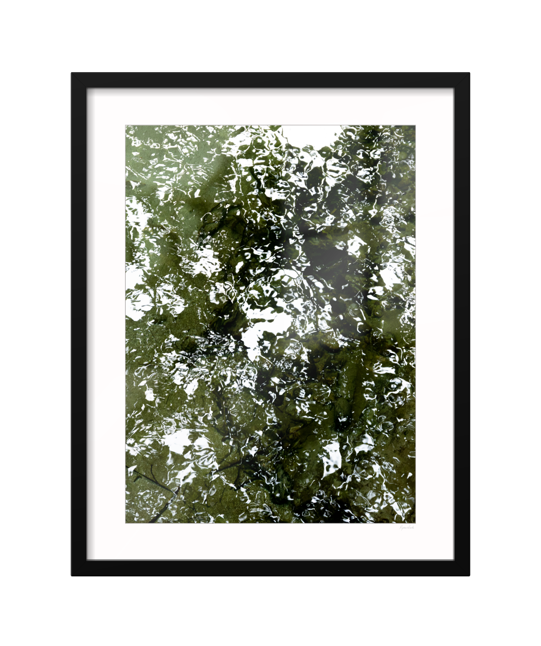 CANOPY - CLASSIC FRAME