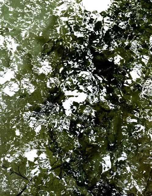 CANOPY - PRINT ONLY