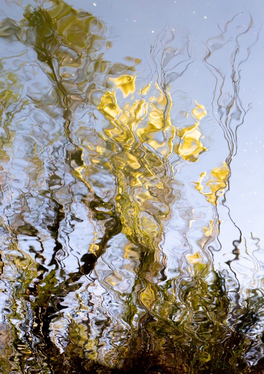 RyanNorth-AnOdeToWattle.jpeg