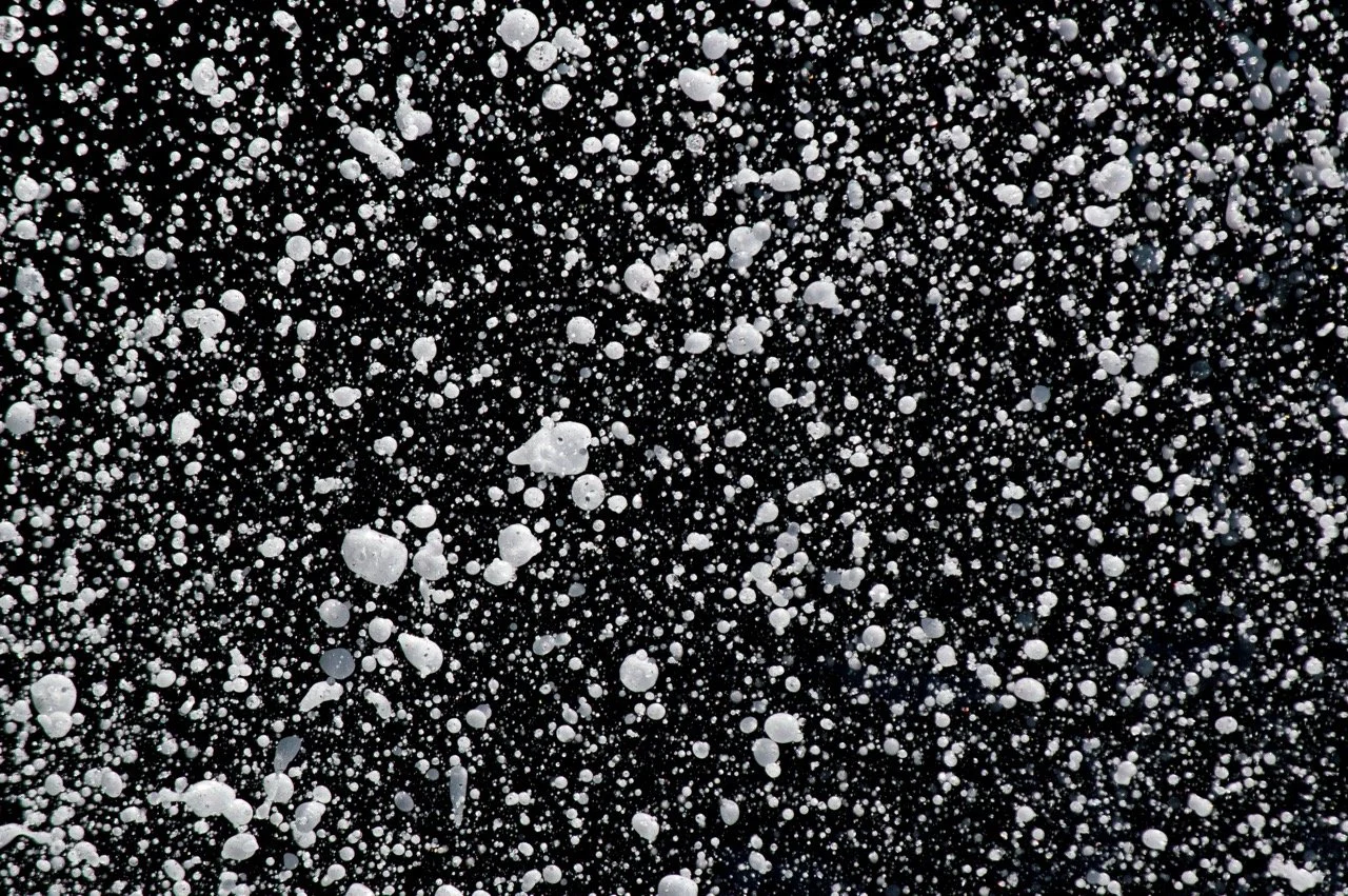DSC_0247 Large.jpeg