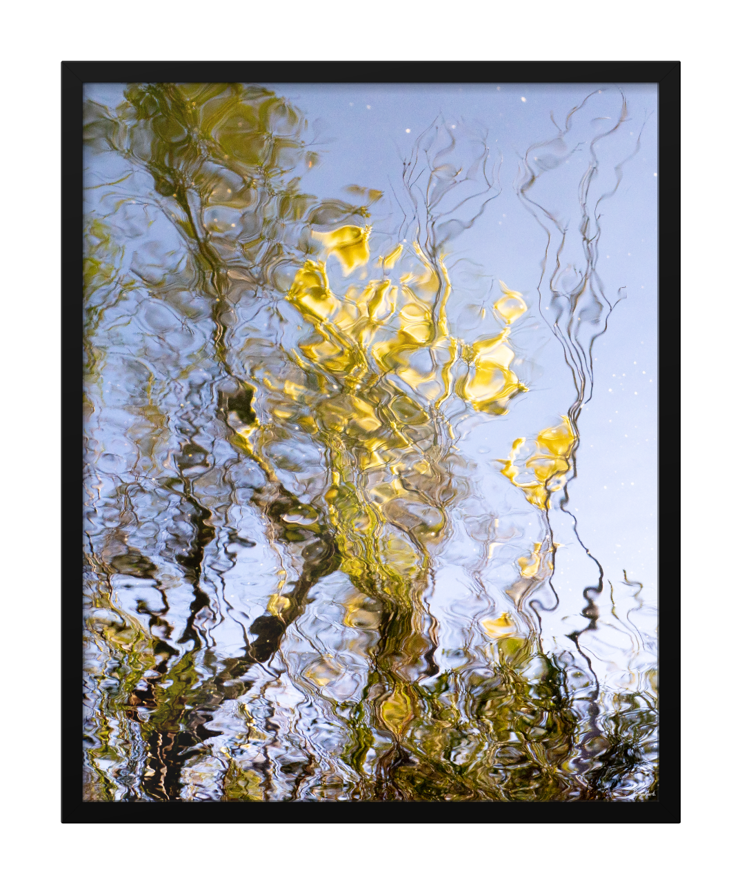AnOdeToWattle_RyanNorth_32x40in_Framed_clear.png