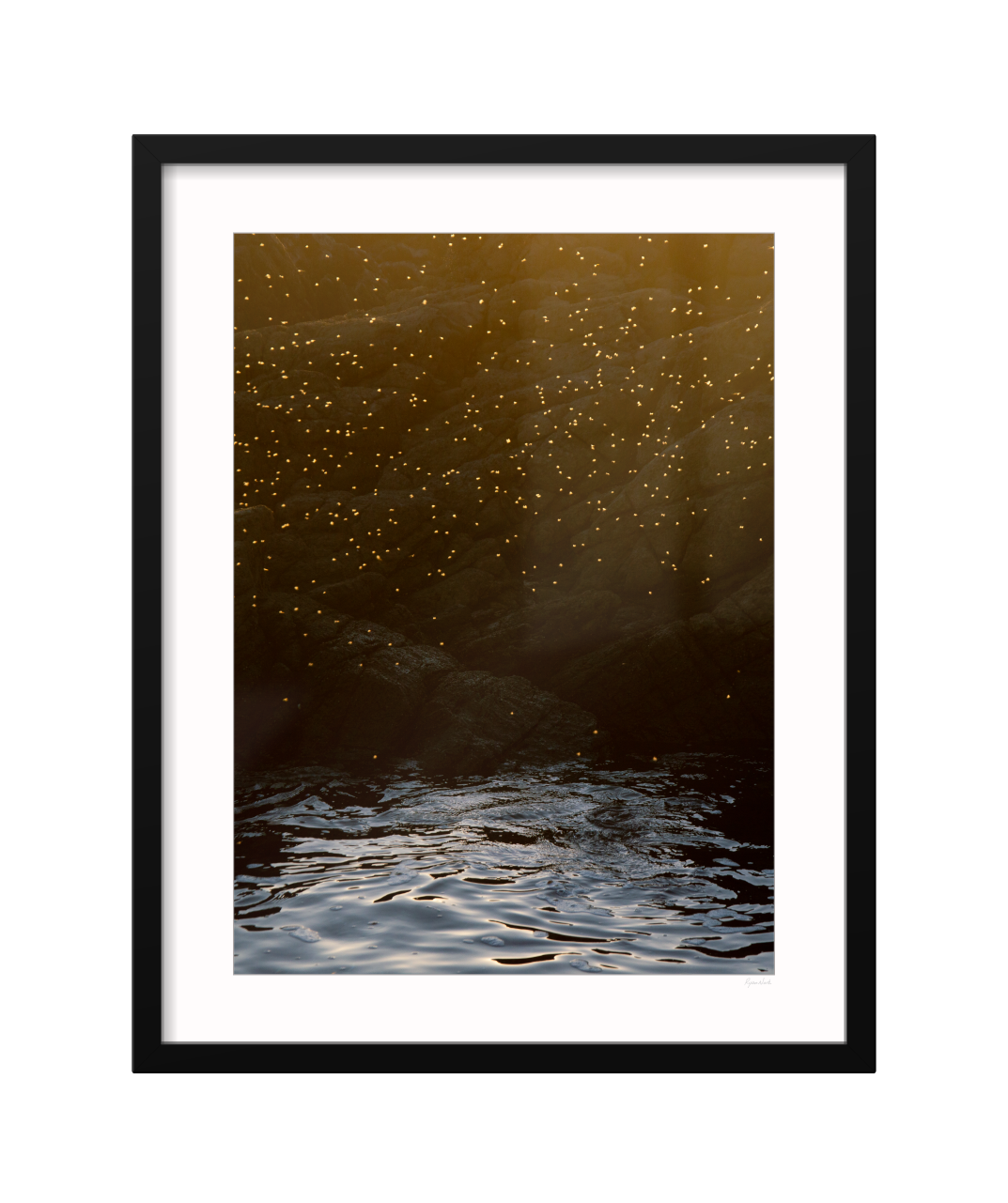 ROCKPOOL - CLASSIC FRAME