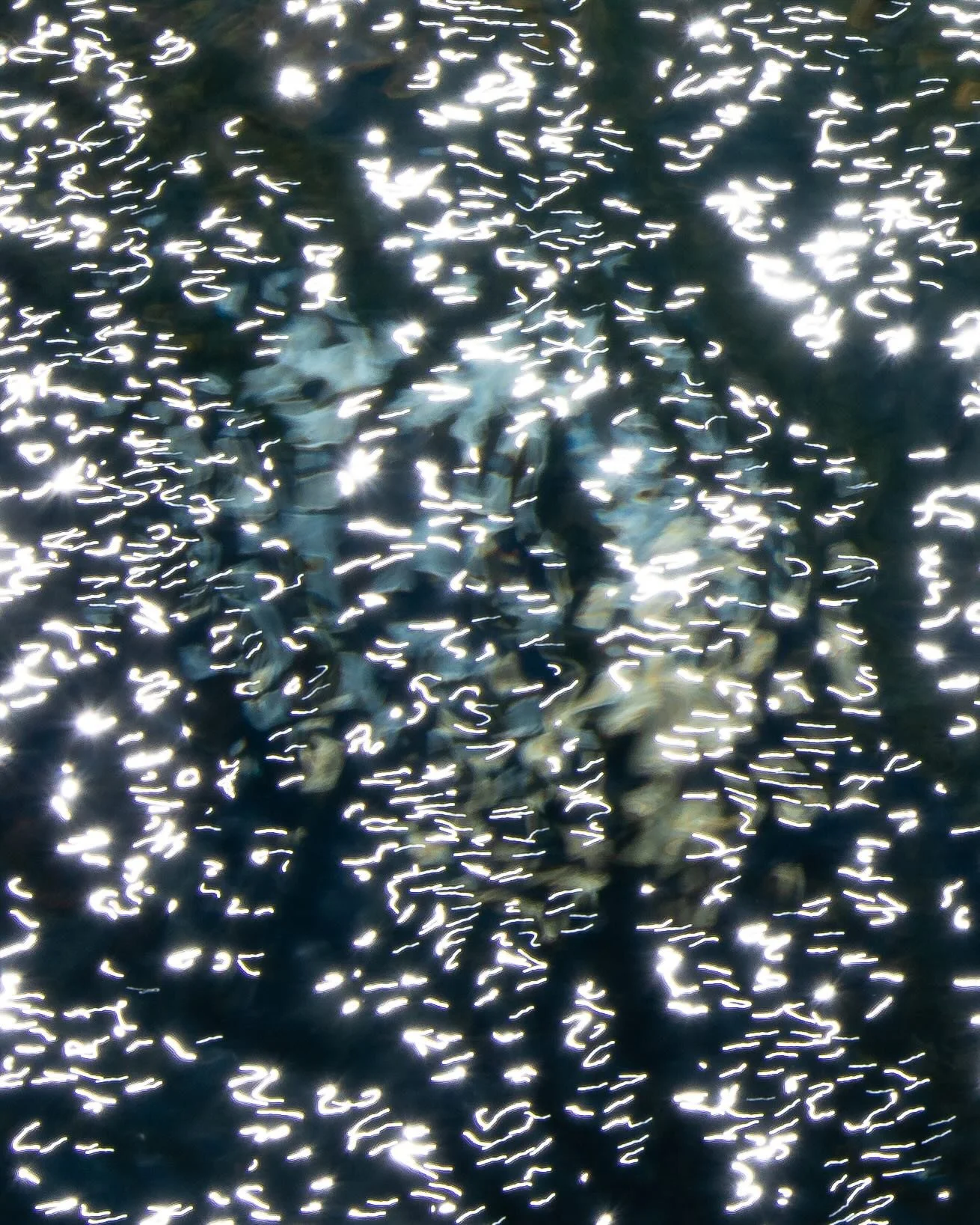 HIDDEN - PRINT ONLY