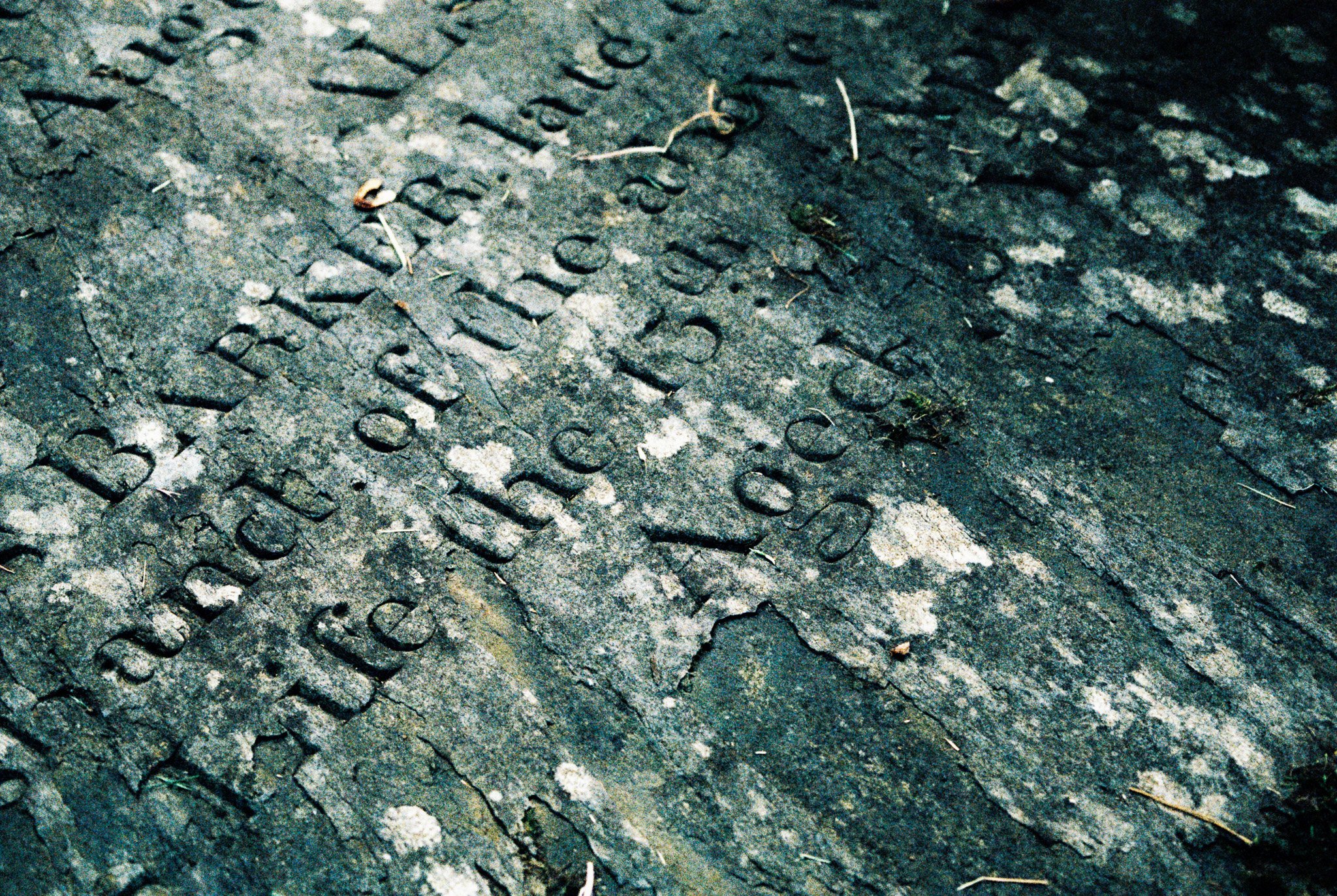 exfoliati VI. St. Peter's churchyard, Heysham