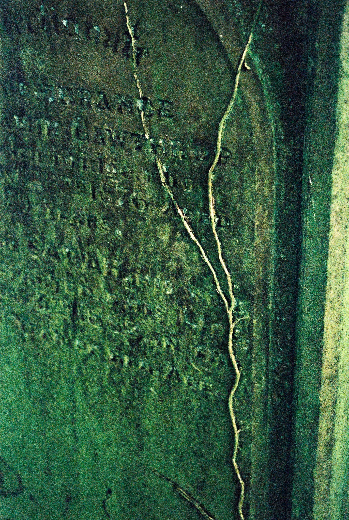 thread. Haworth Parish churchyard, Yorkshire