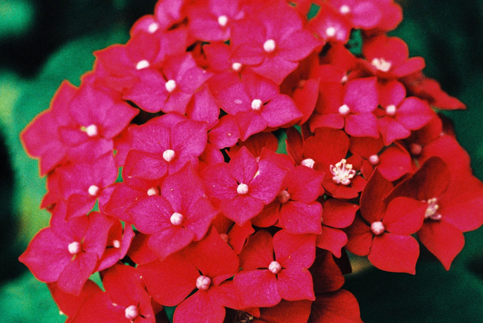 R1-09618-0027.jpg