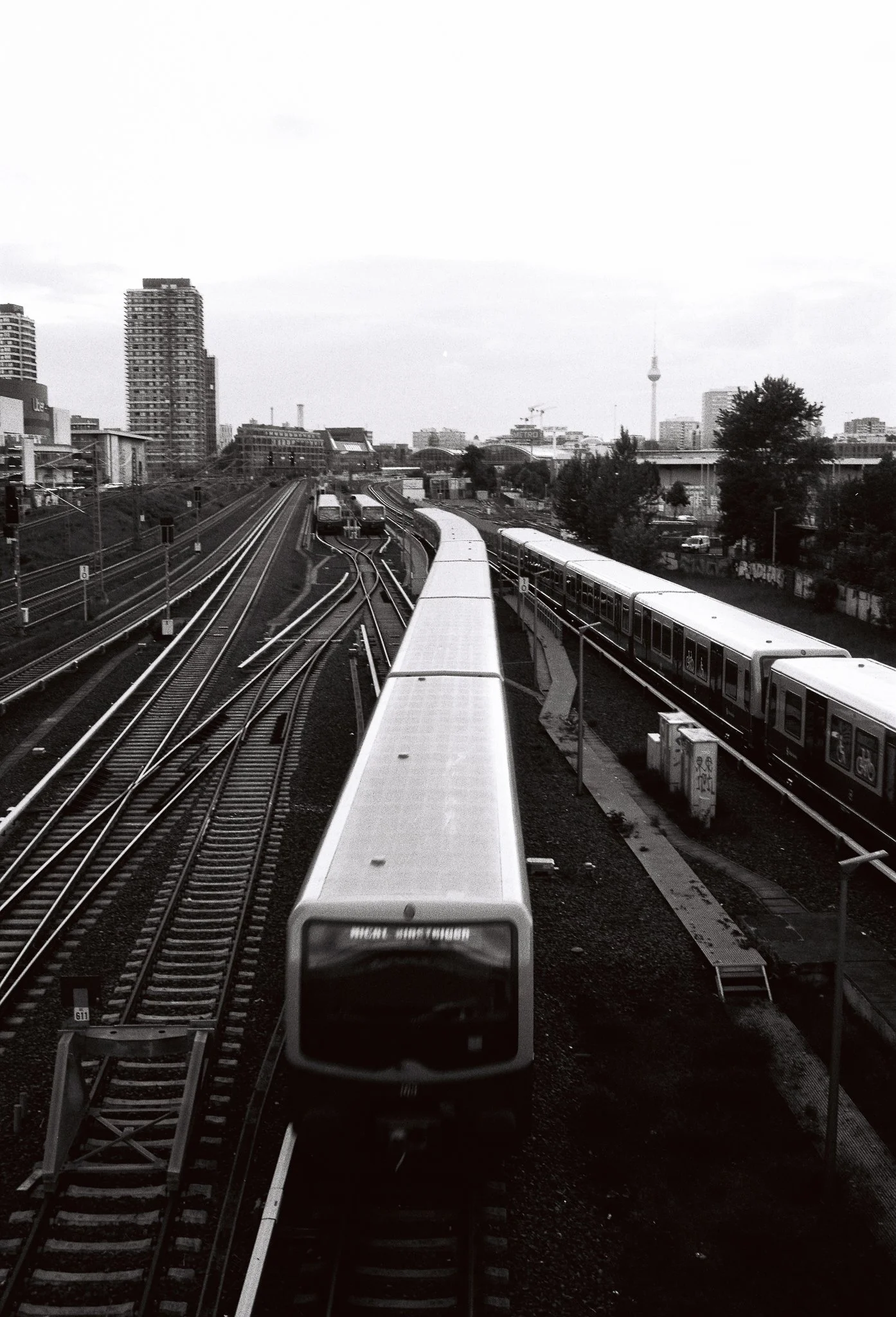 before the storm, Fomapan 100