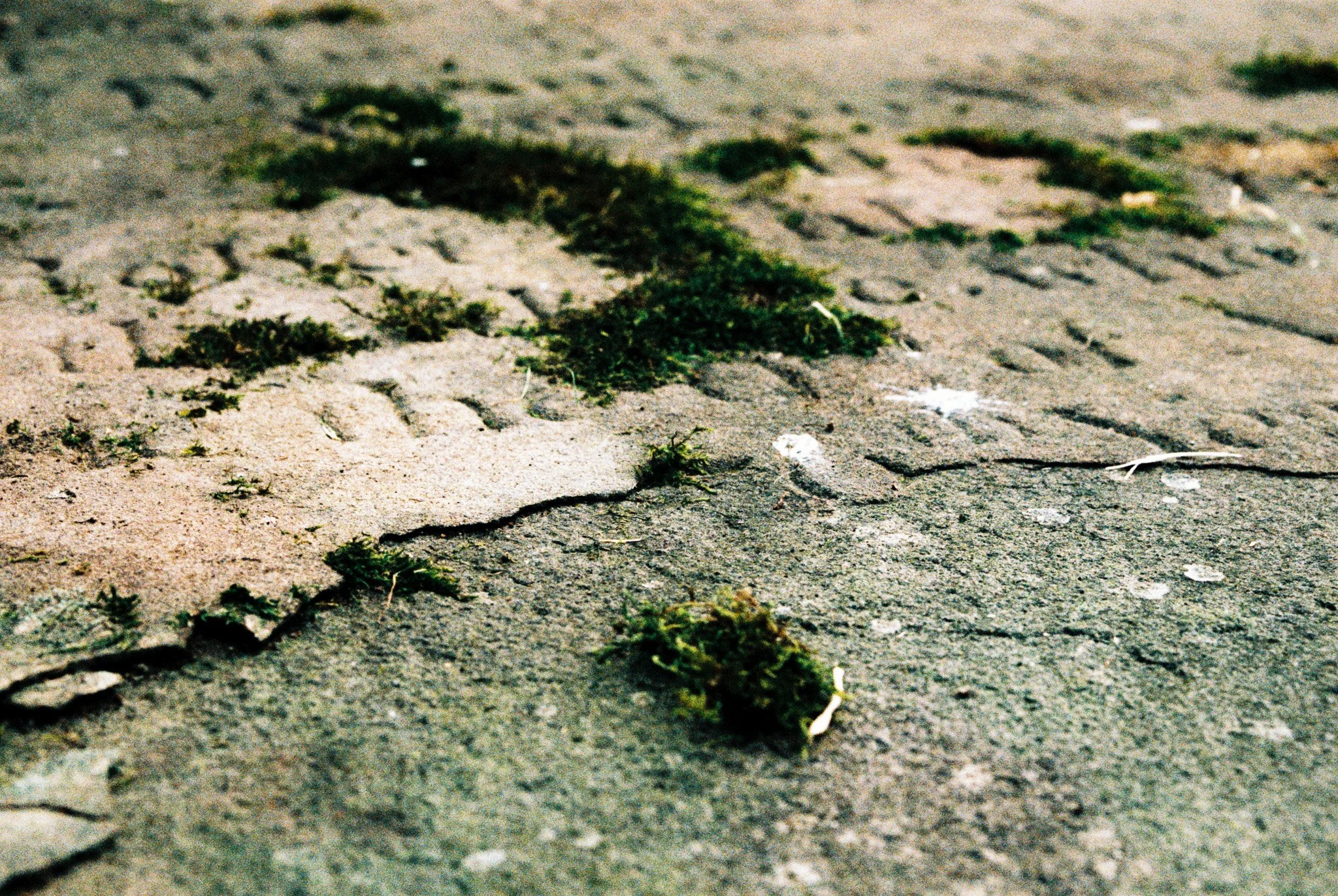 exfoliati III. St. Peter's churchyard, Heysham