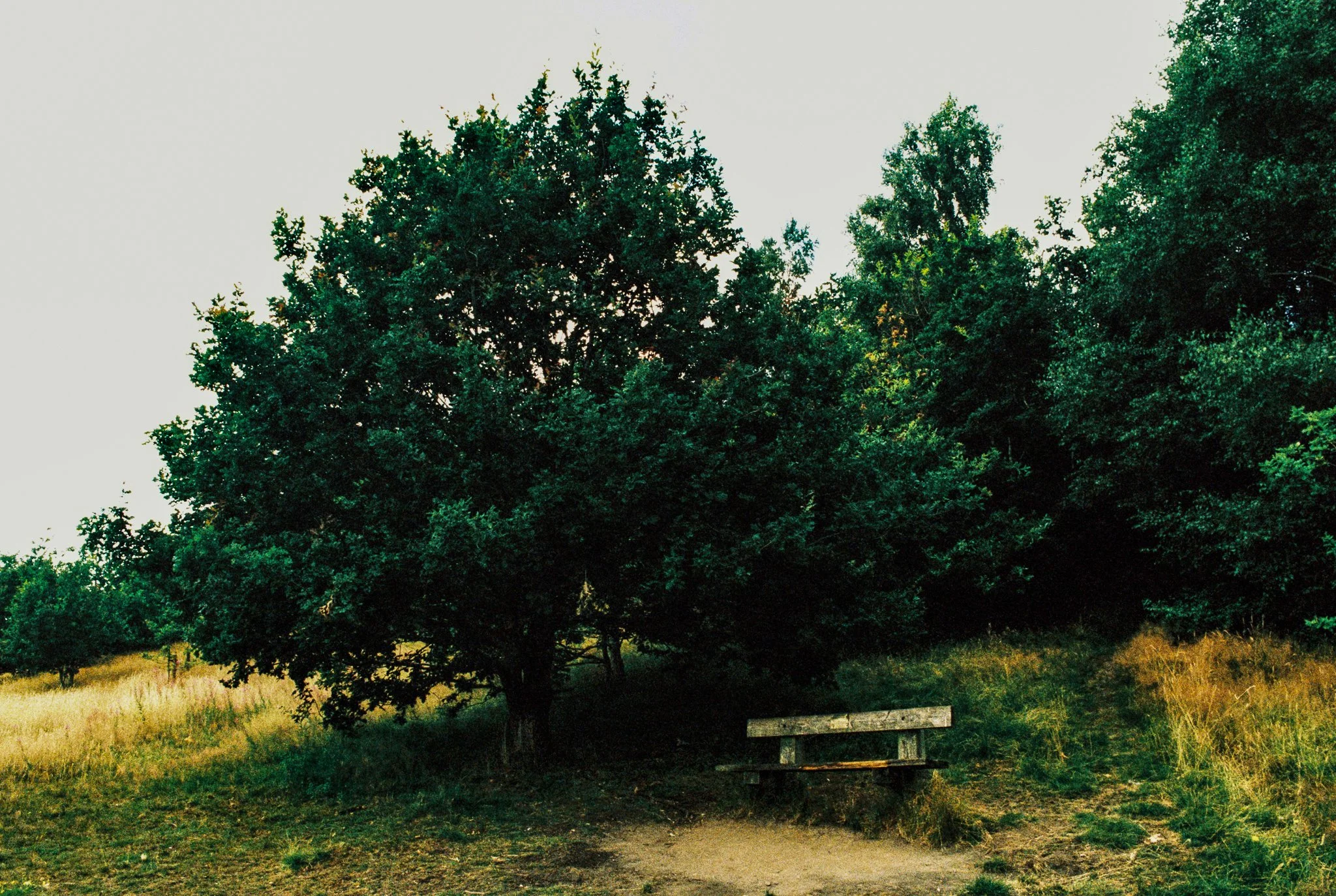 Tandle Hill July 2026 for web-15.jpg