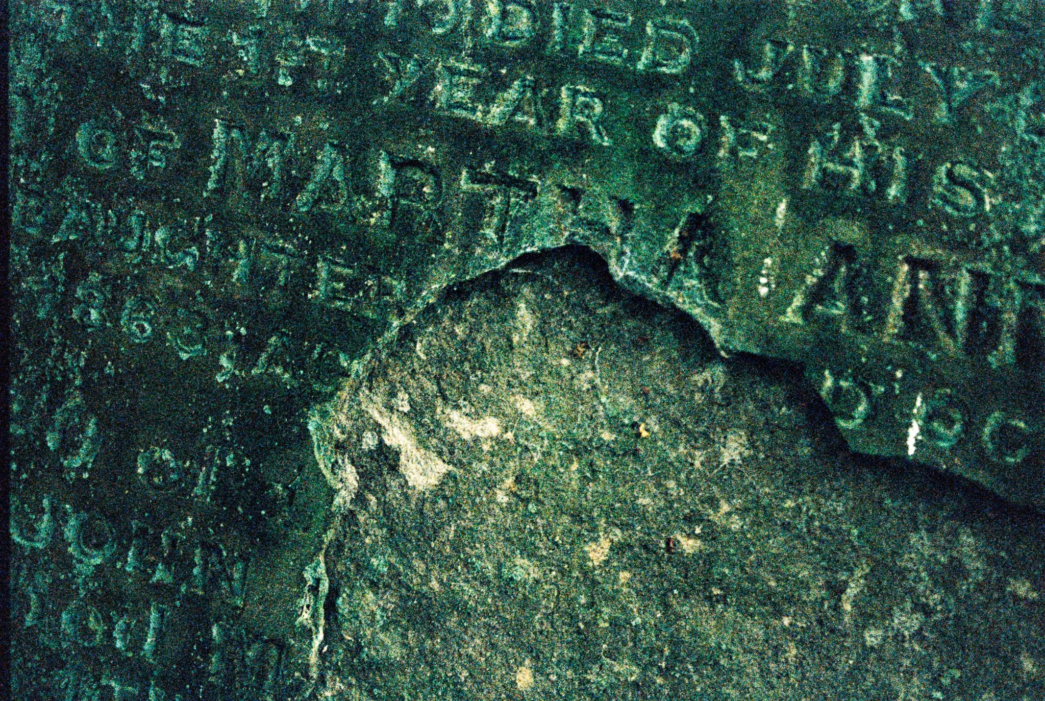 exfoliati V. Haworth Parish churchyard, Yorkshire
