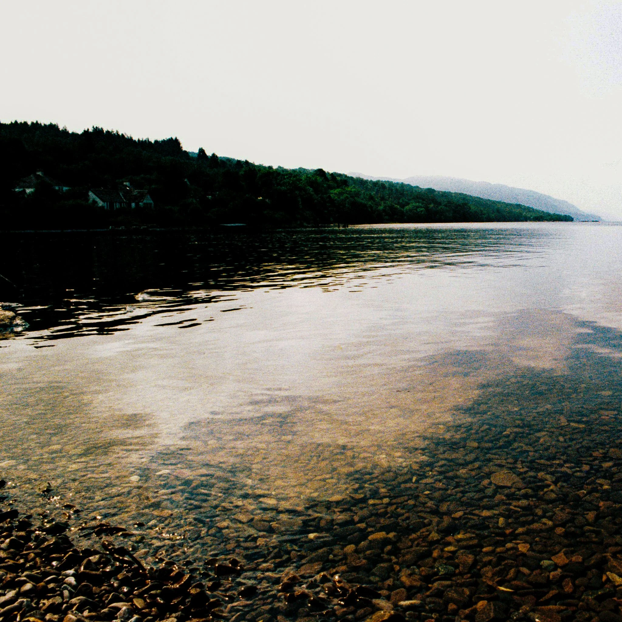 sunlight does not reach the depths, it paints the surface like glass. Dores Beach, Loch Ness