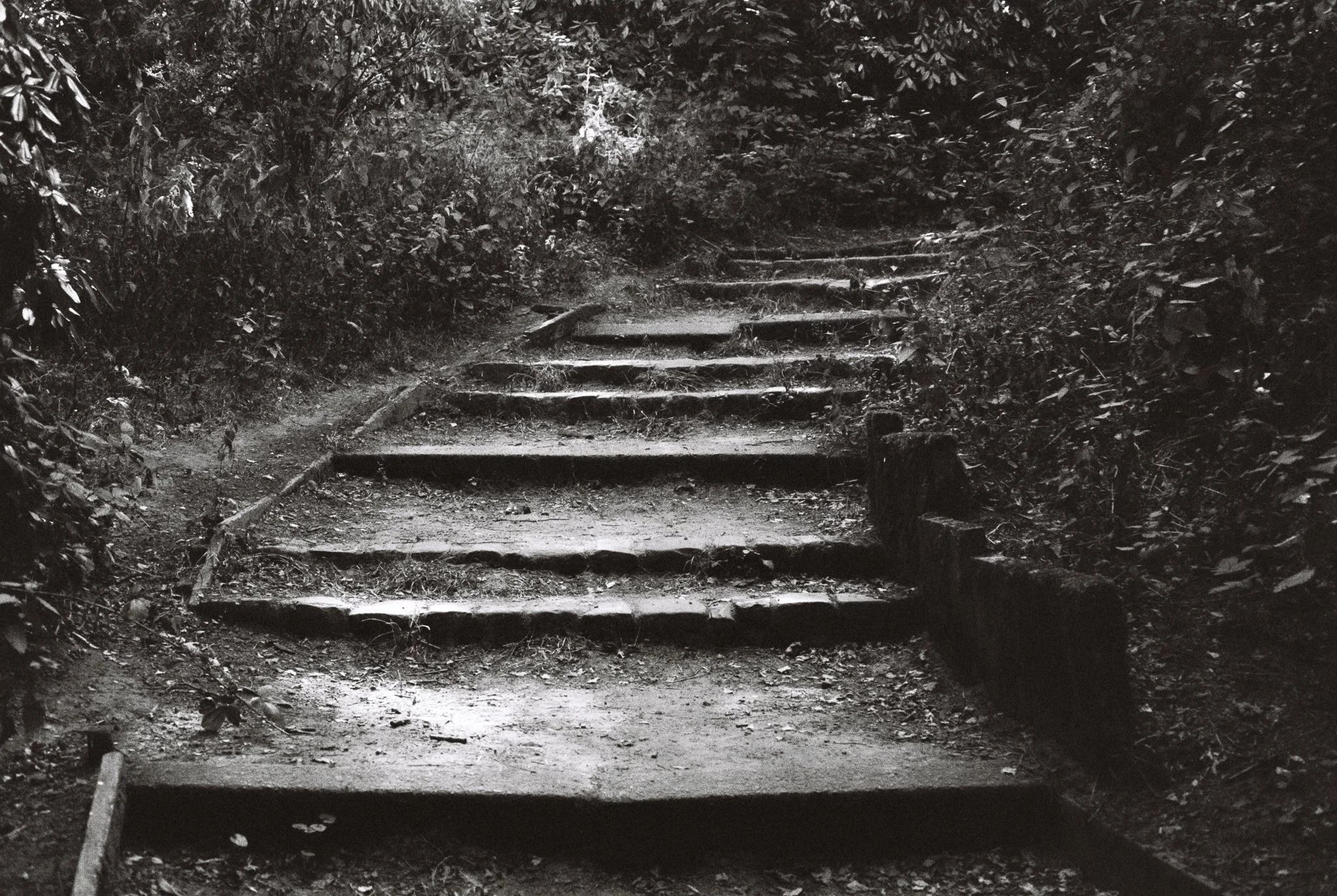 ascension. Tandle Hill Country Park, Royton